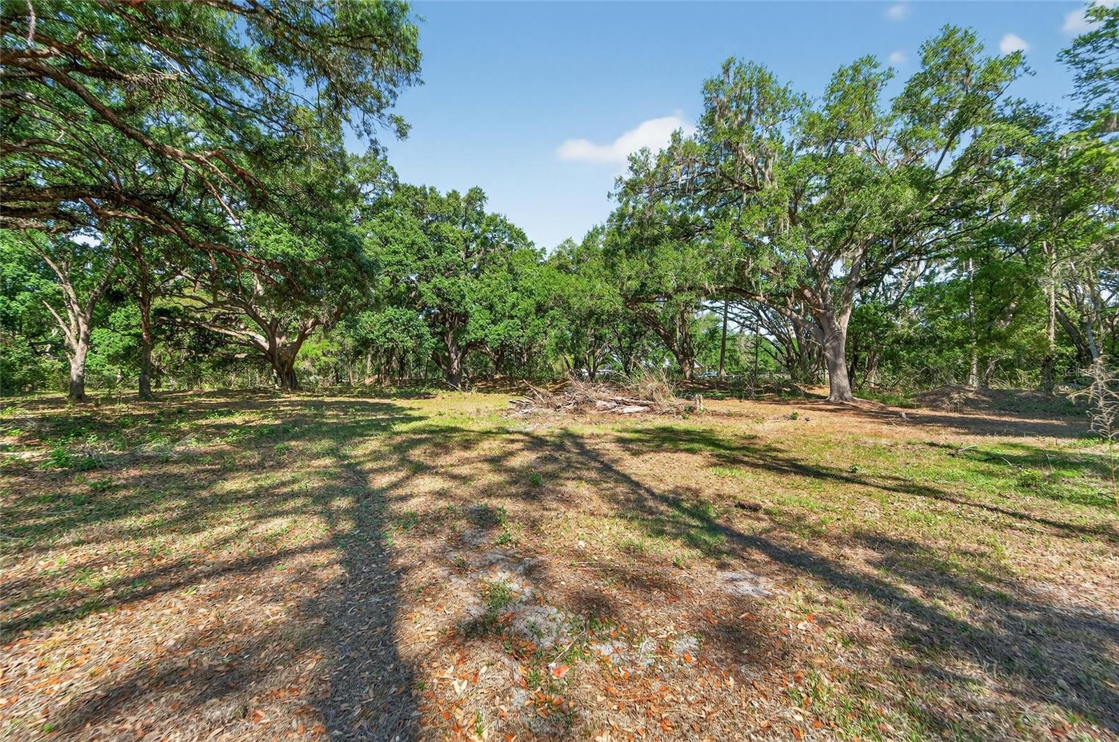 CARLTON RD, PLANT CITY, FL, 33565
