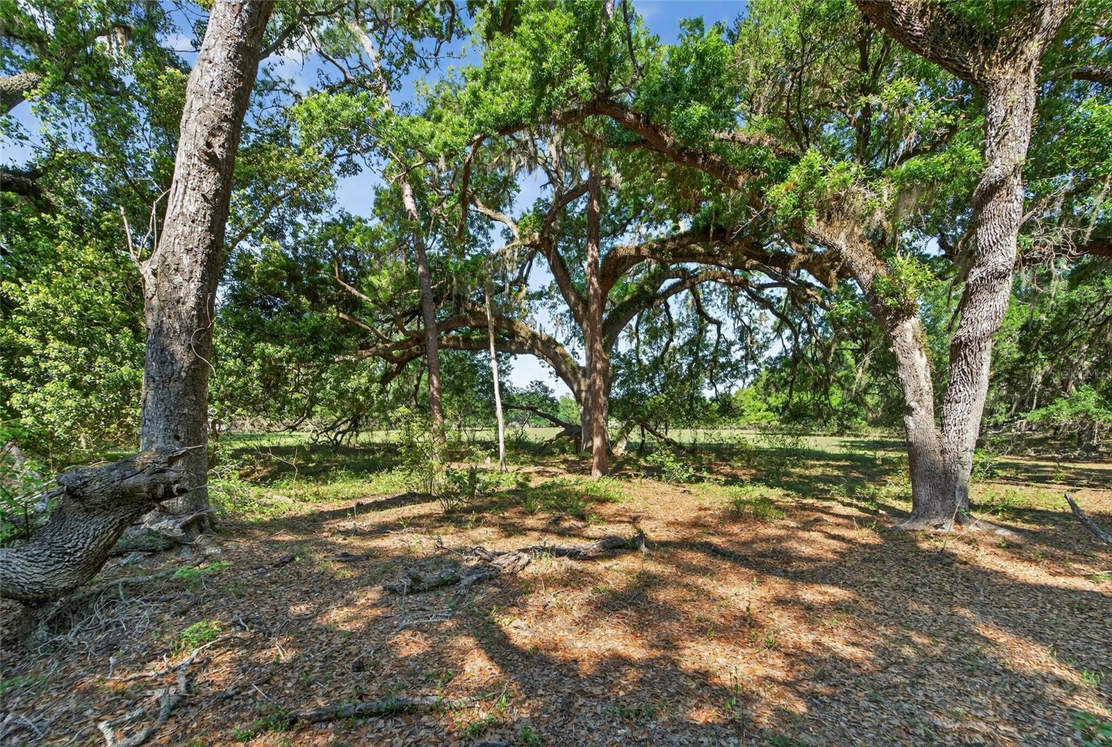 CARLTON RD, PLANT CITY, FL, 33565