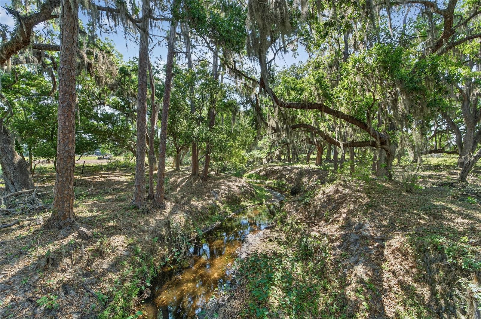 CARLTON RD, PLANT CITY, FL, 33565