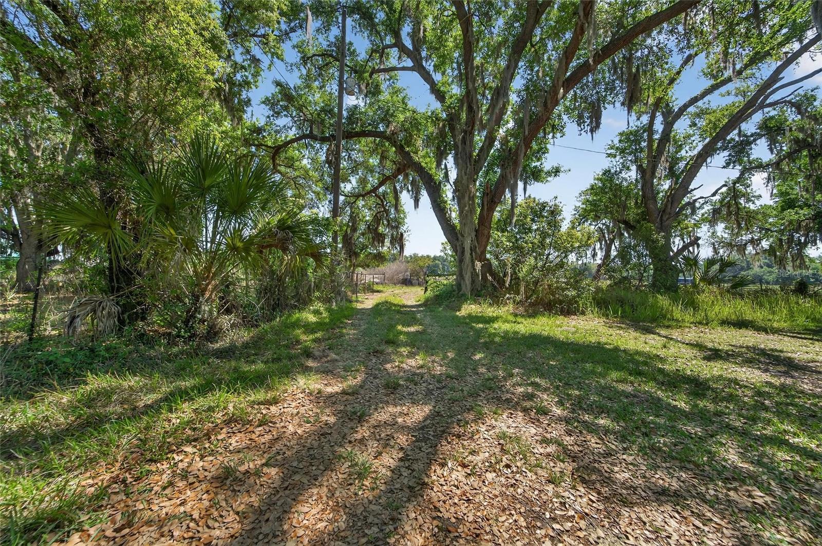 CARLTON RD, PLANT CITY, FL, 33565