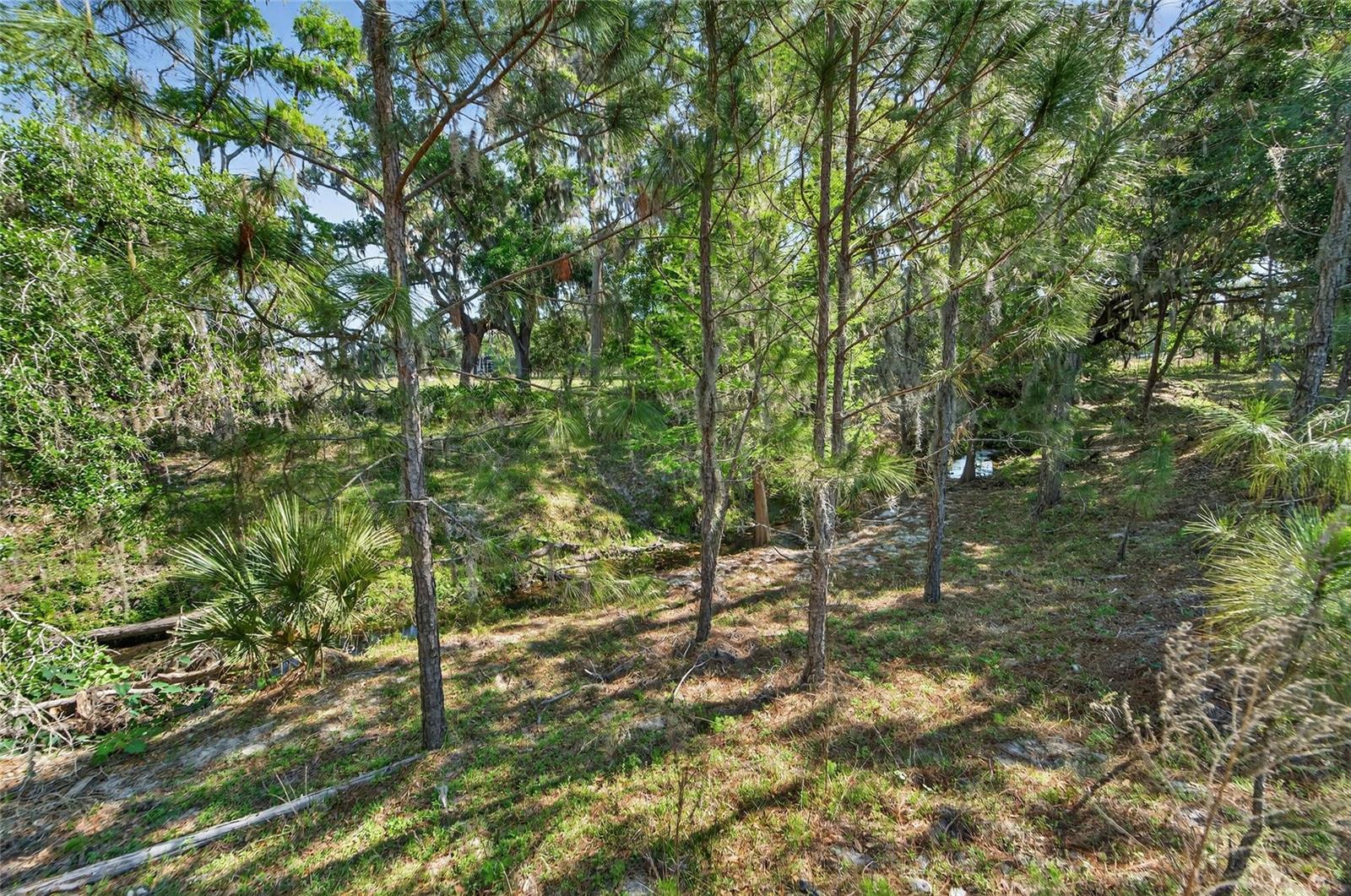 CARLTON RD, PLANT CITY, FL, 33565