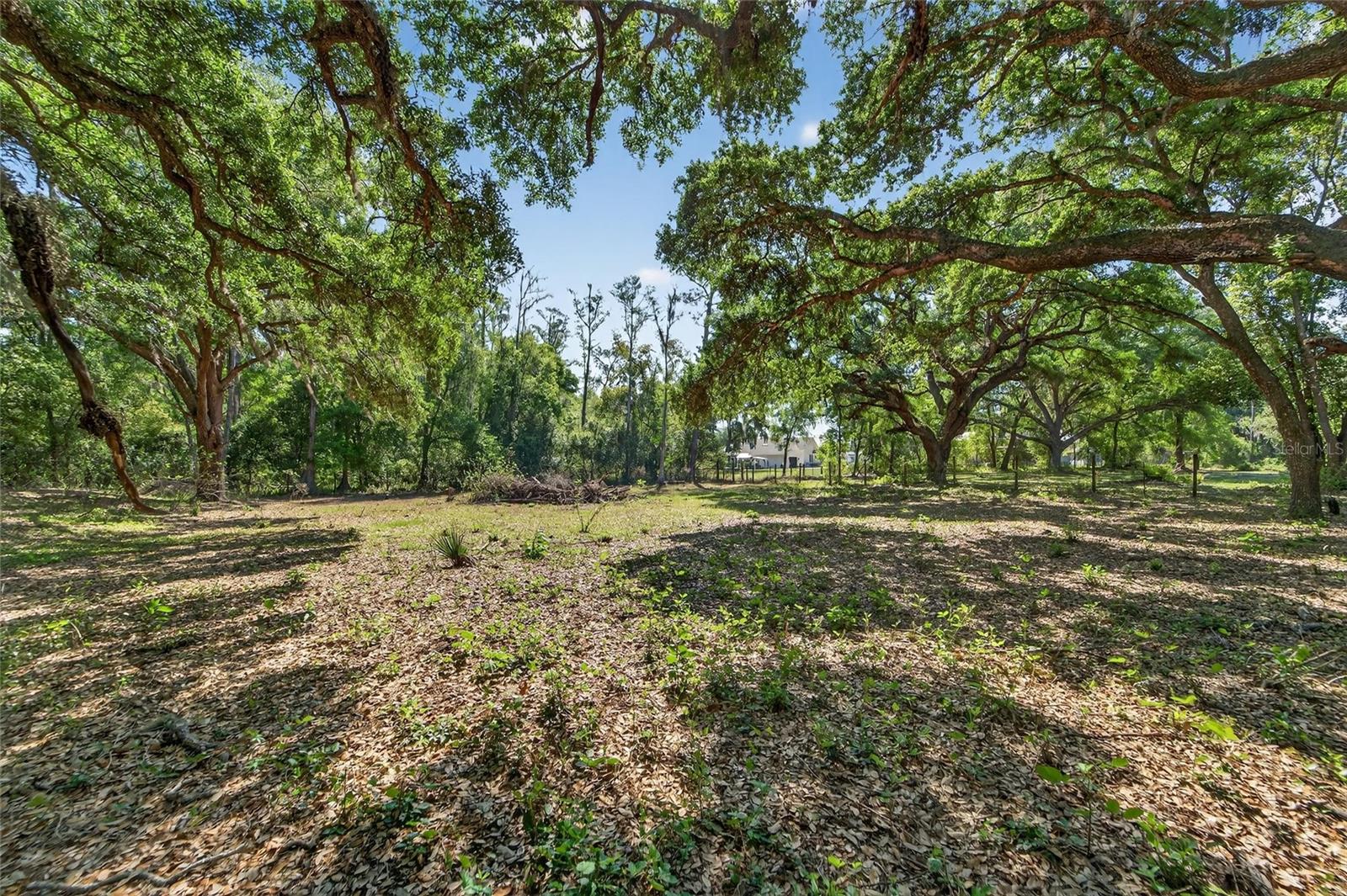CARLTON RD, PLANT CITY, FL, 33565