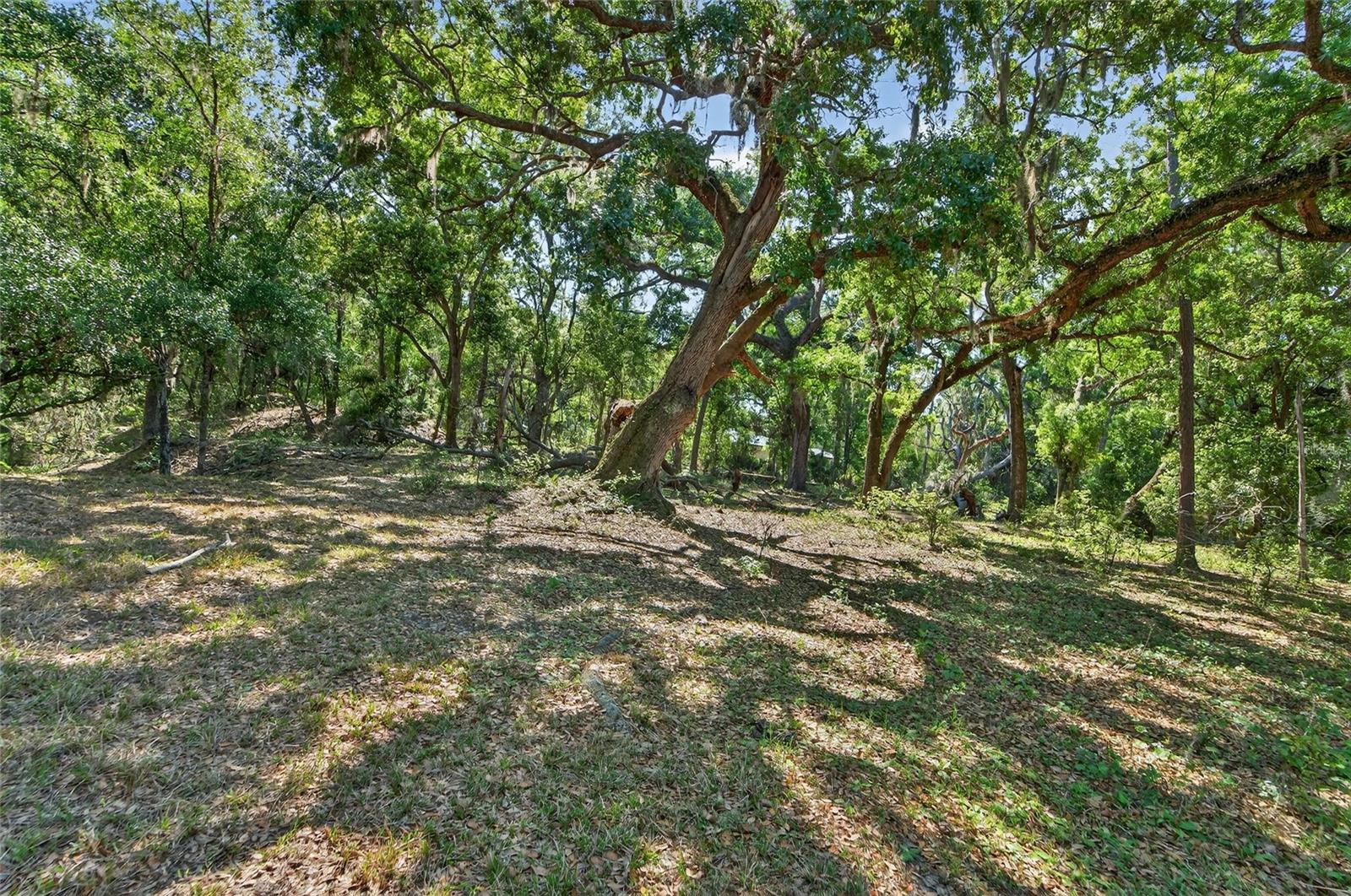 CARLTON RD, PLANT CITY, FL, 33565