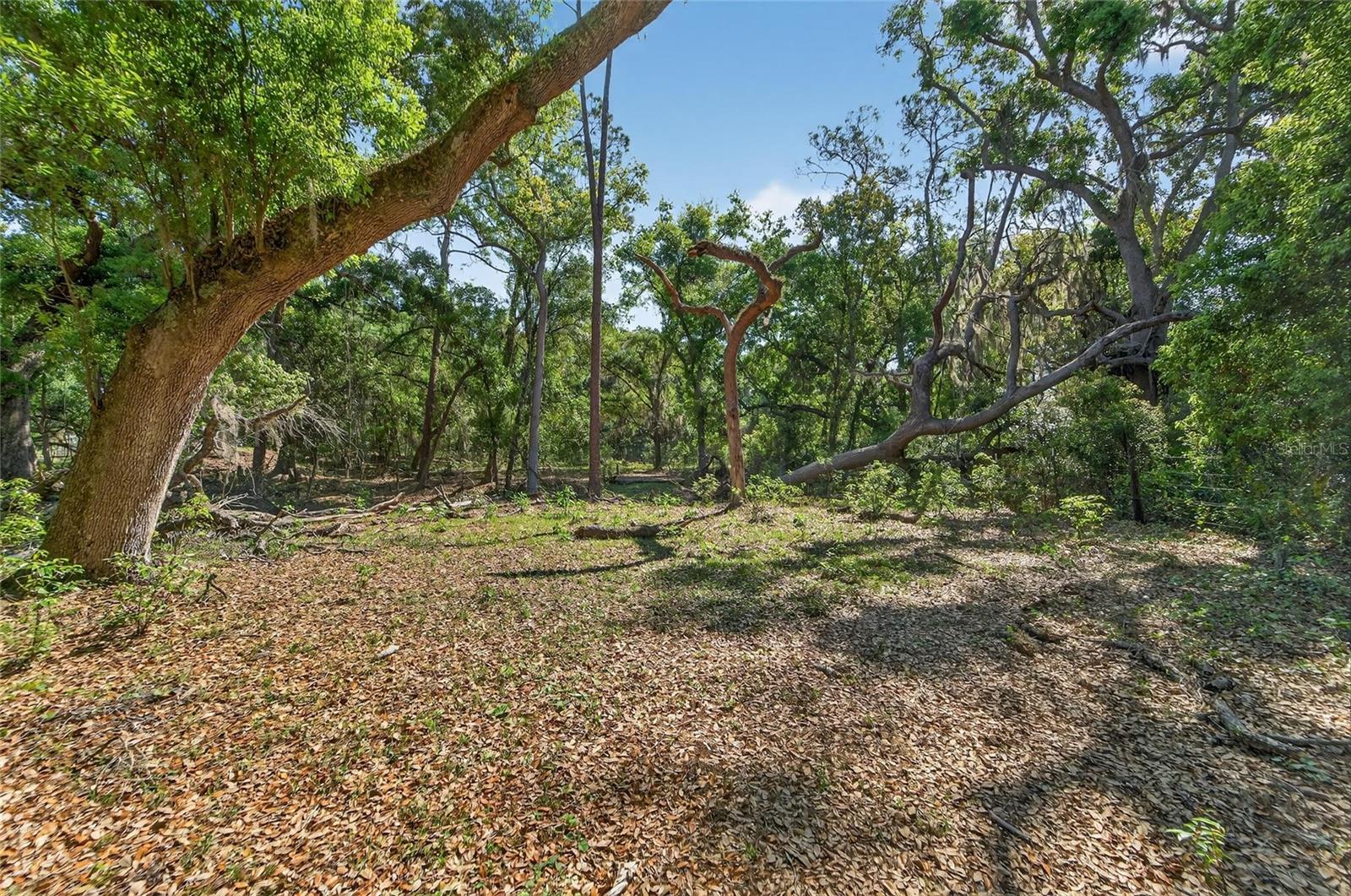 CARLTON RD, PLANT CITY, FL, 33565