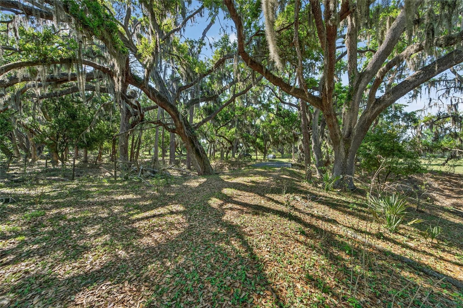 CARLTON RD, PLANT CITY, FL, 33565