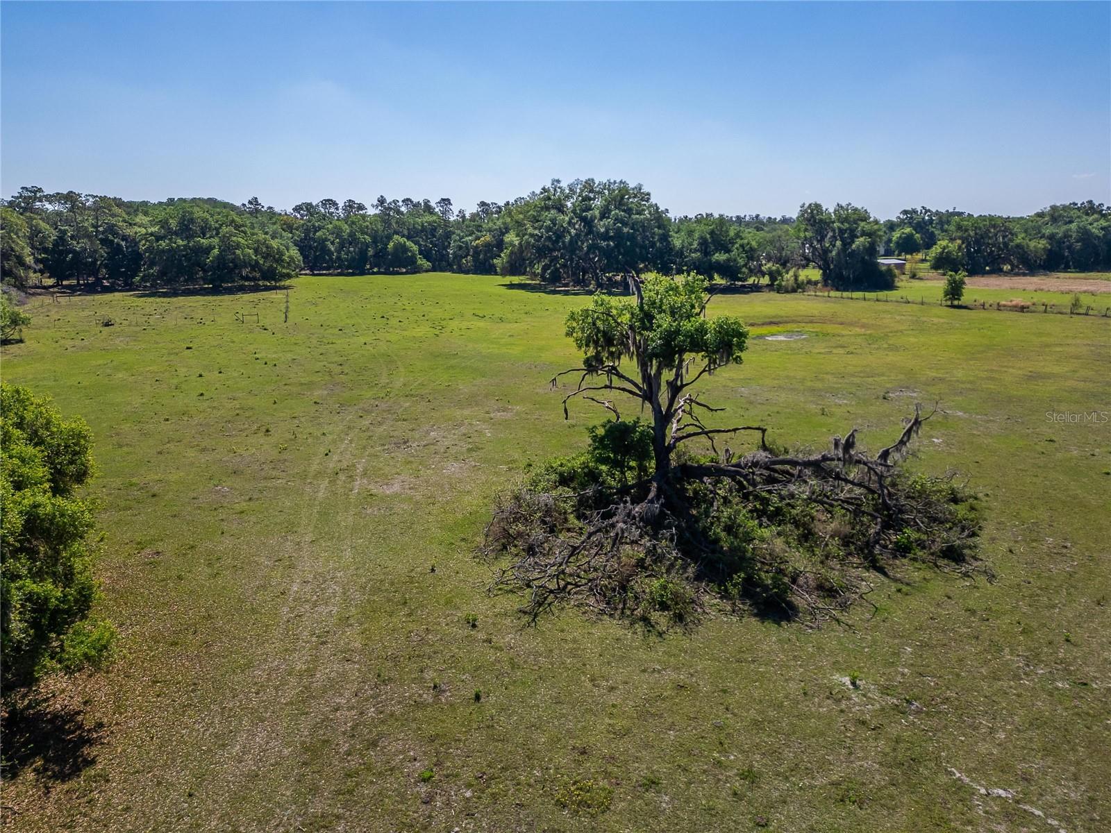 CARLTON RD, PLANT CITY, FL, 33565
