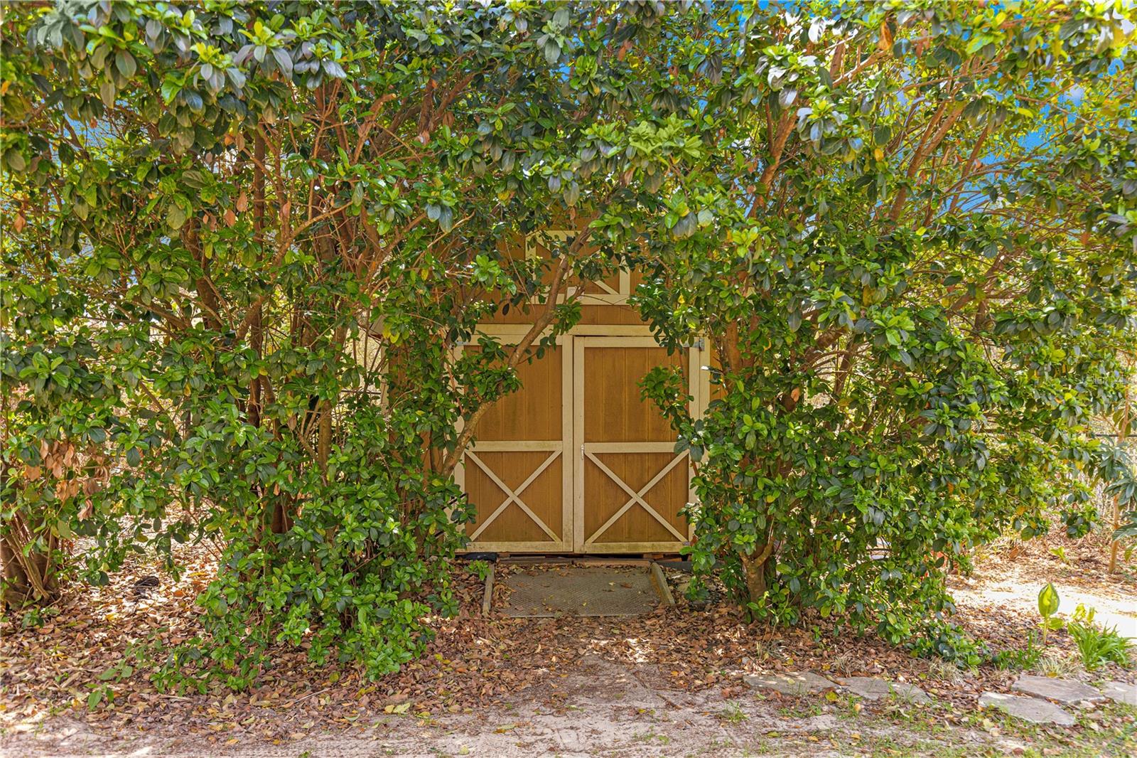 10020 SW 47TH AVE, OCALA, FL, 34476