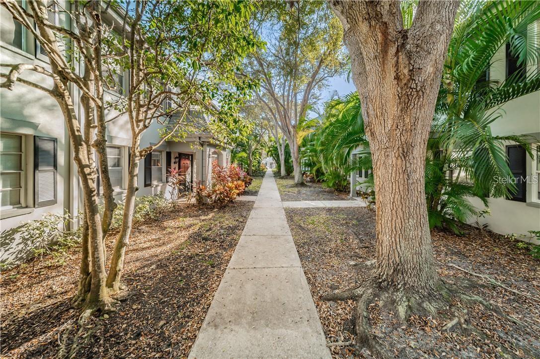 6990 PLACE DE LA PAIX #2B, SOUTH PASADENA, FL, 33707