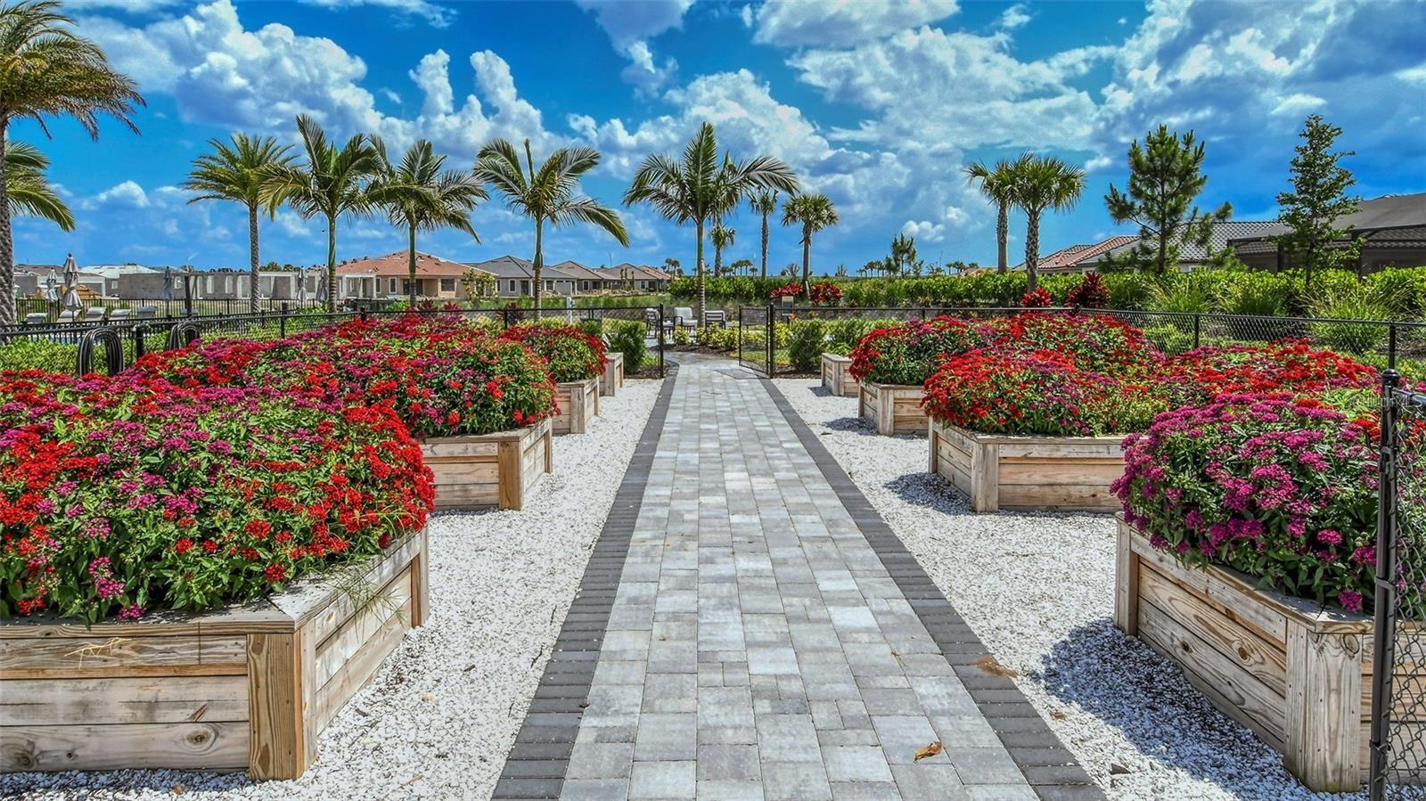 16415 ISOLA PL, LAKEWOOD RANCH, FL, 34211