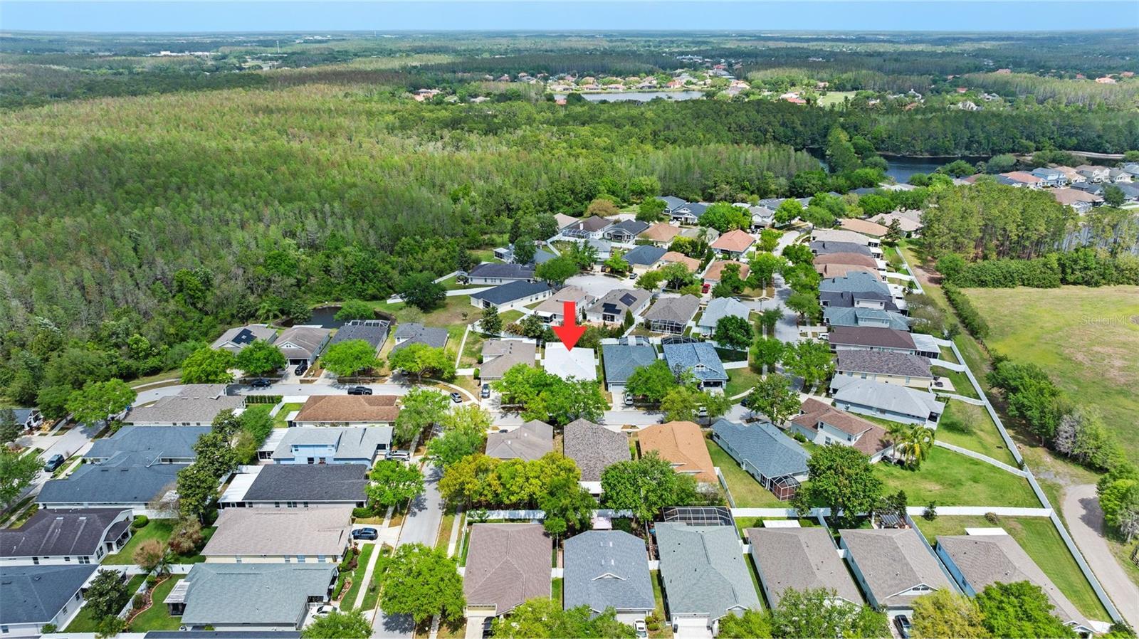 5015 SKY BLUE DR, LUTZ, FL, 33558