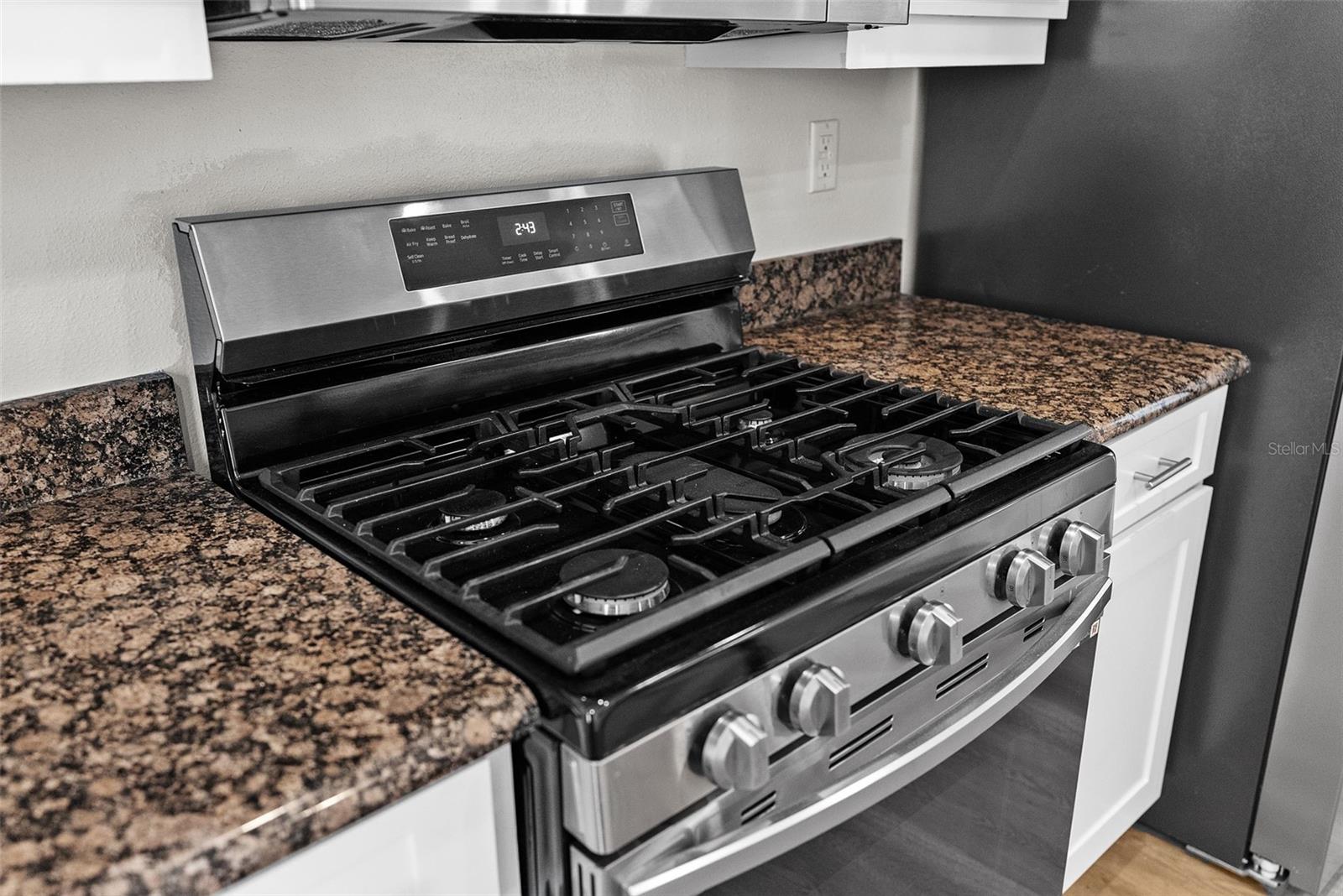 5015 SKY BLUE DR, LUTZ, FL, 33558