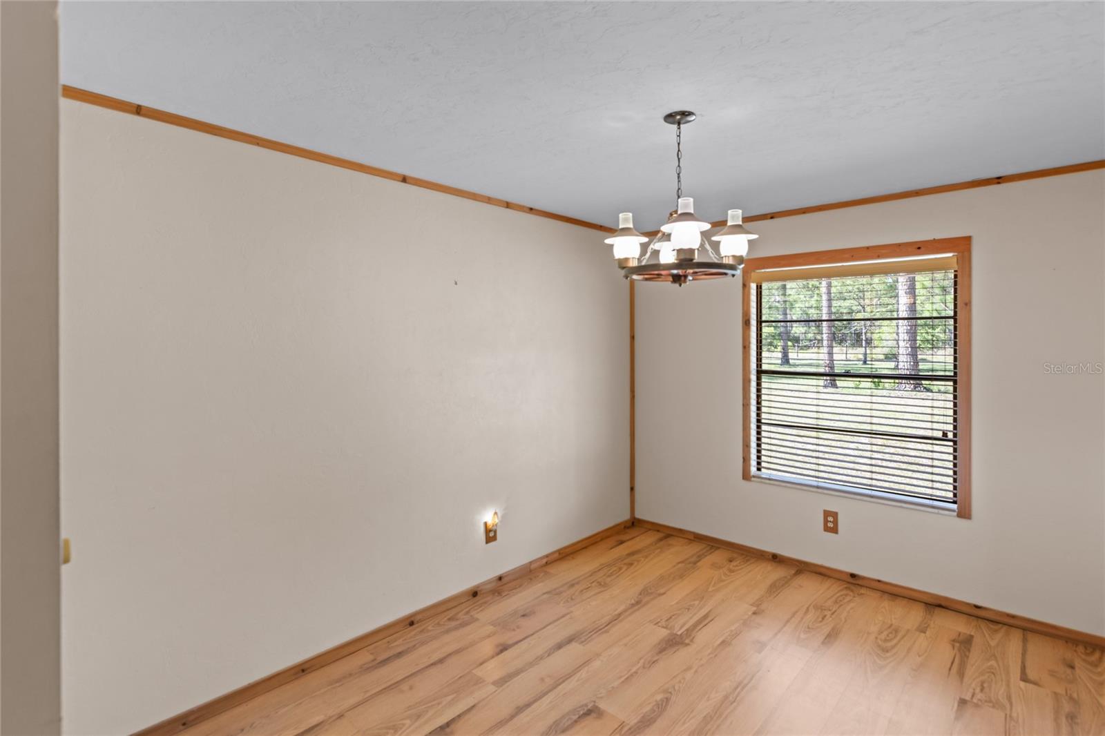 13296 SW COUNTY ROAD 231, BROOKER, FL, 32622