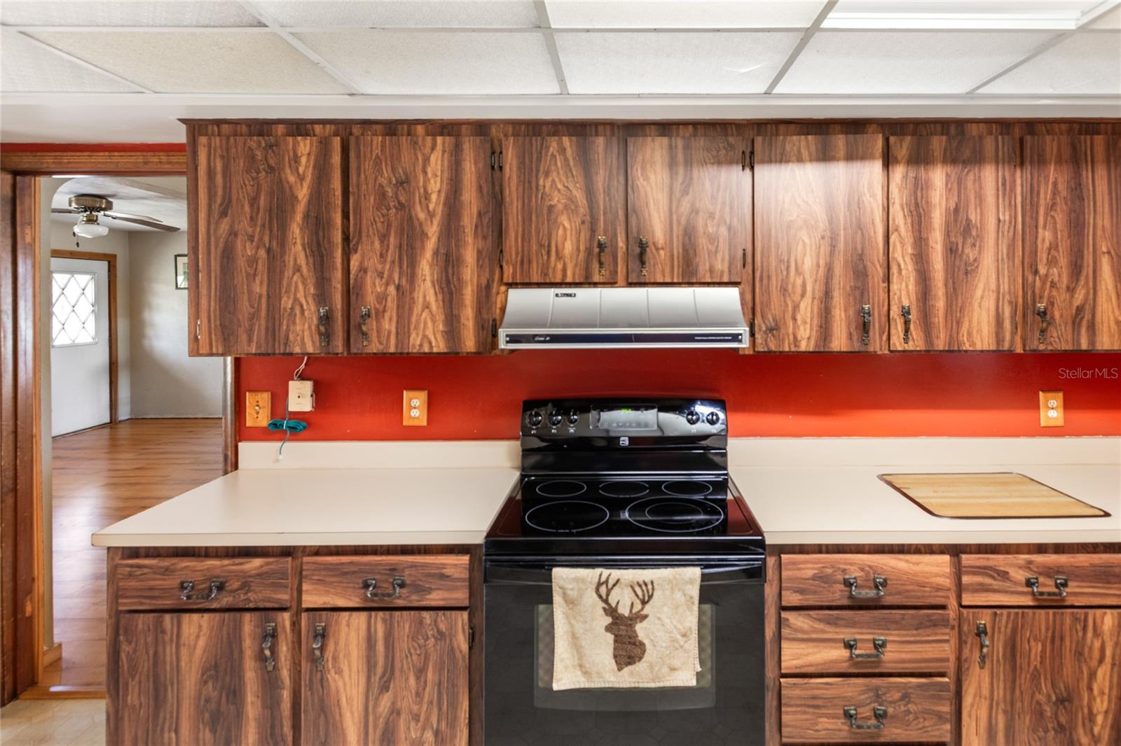 13296 SW COUNTY ROAD 231, BROOKER, FL, 32622