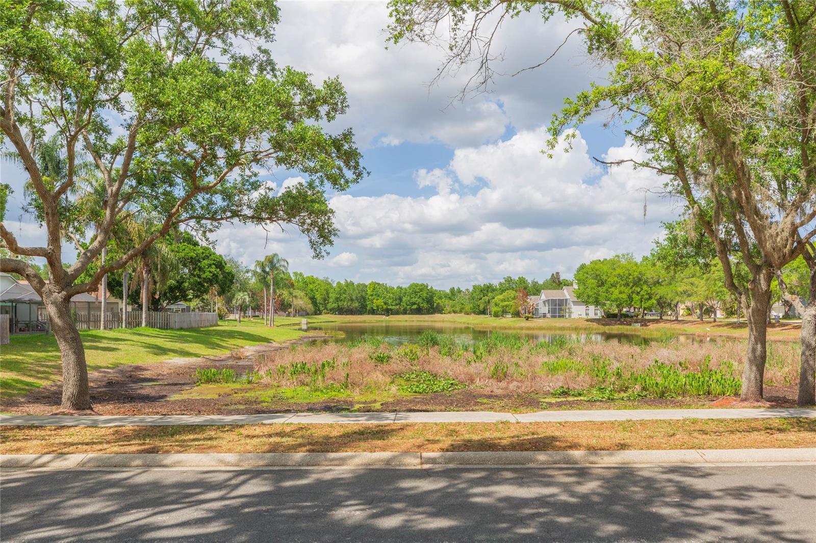 9313 ROCKROSE DR, TAMPA, FL, 33647