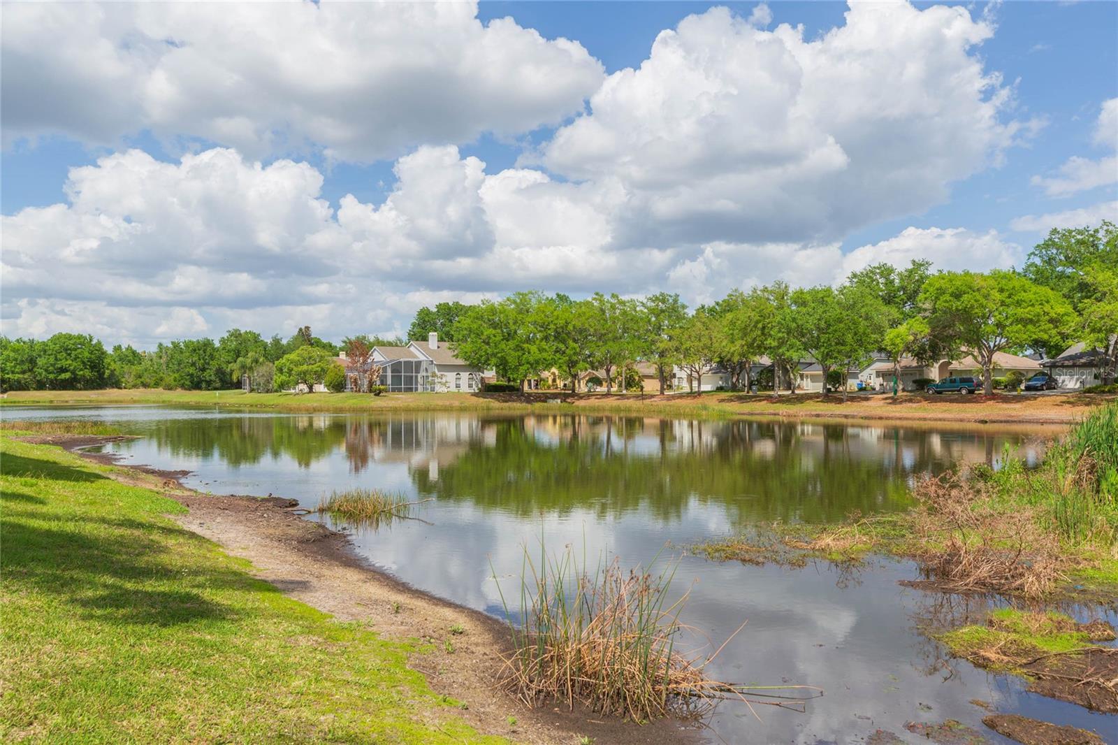9313 ROCKROSE DR, TAMPA, FL, 33647