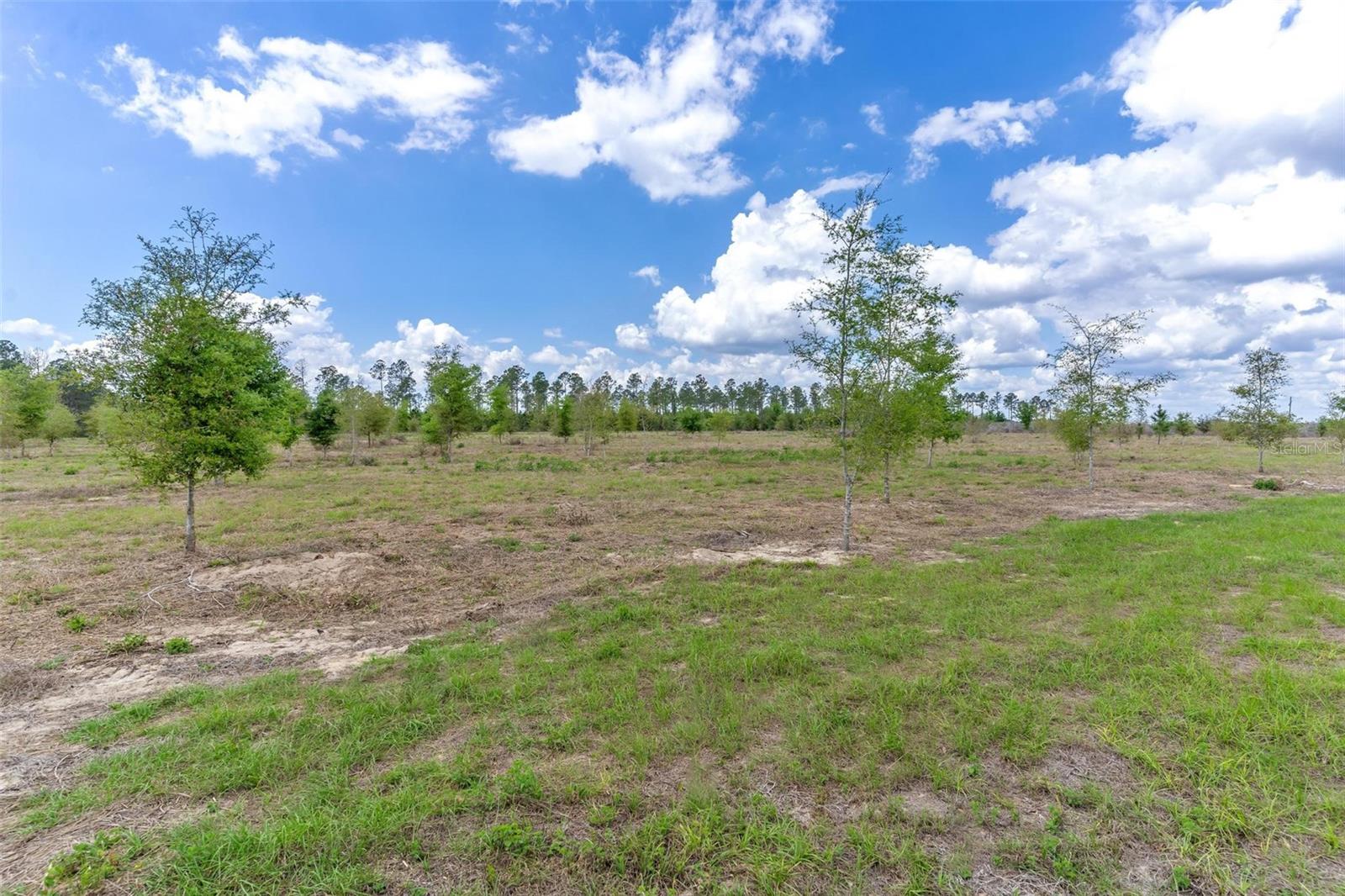 SE 170TH AVE, WEIRSDALE, FL, 32195