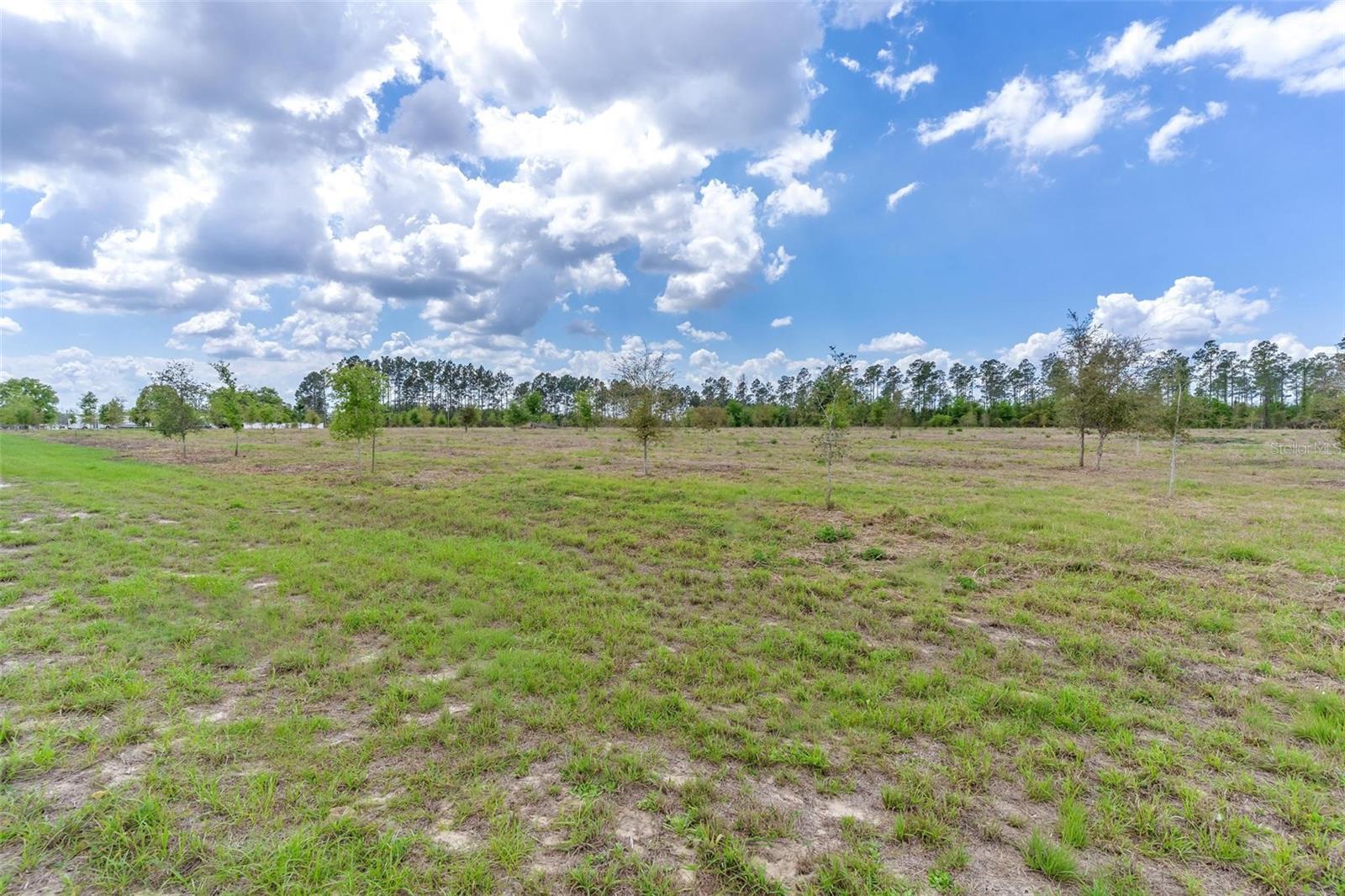 SE 170TH AVE, WEIRSDALE, FL, 32195