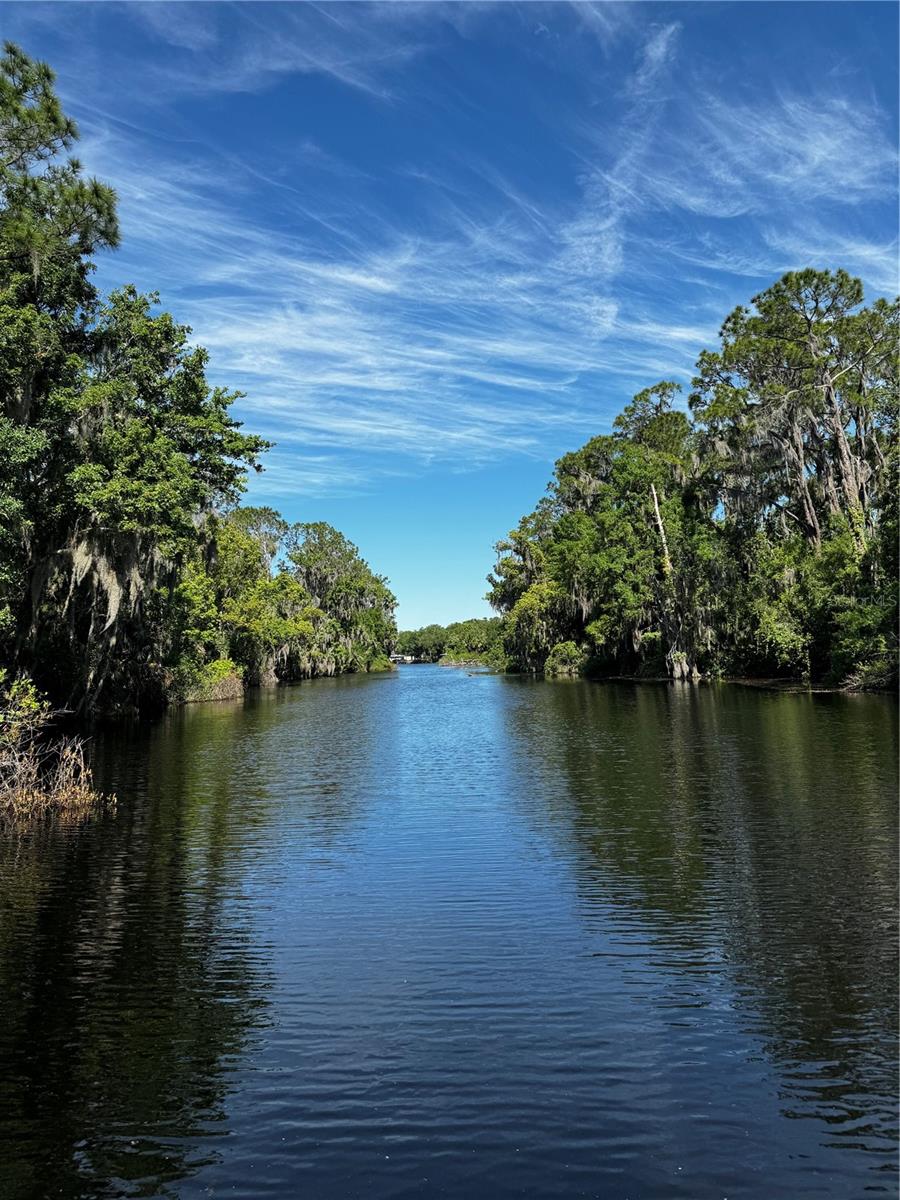 3430 LAKE DIANE RD, TAVARES, FL, 32778
