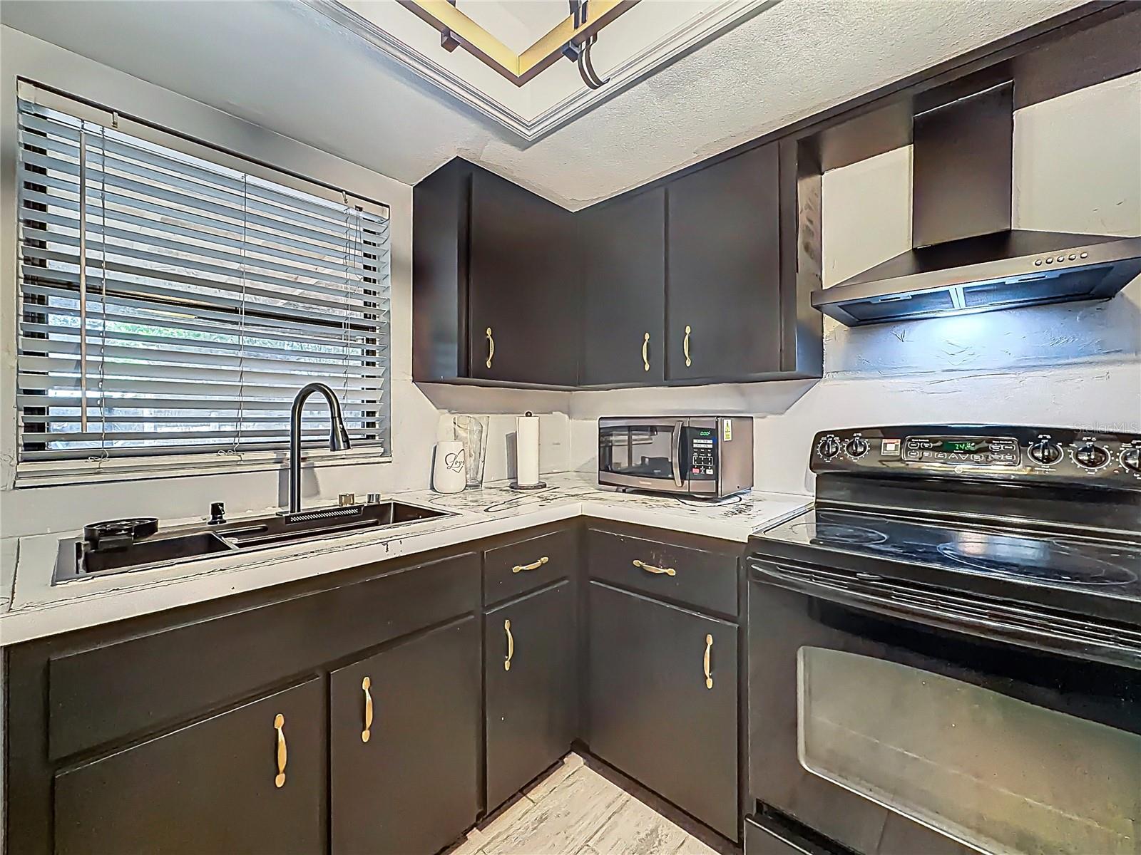 31427 GHENT AVE, MOUNT PLYMOUTH, FL, 32776