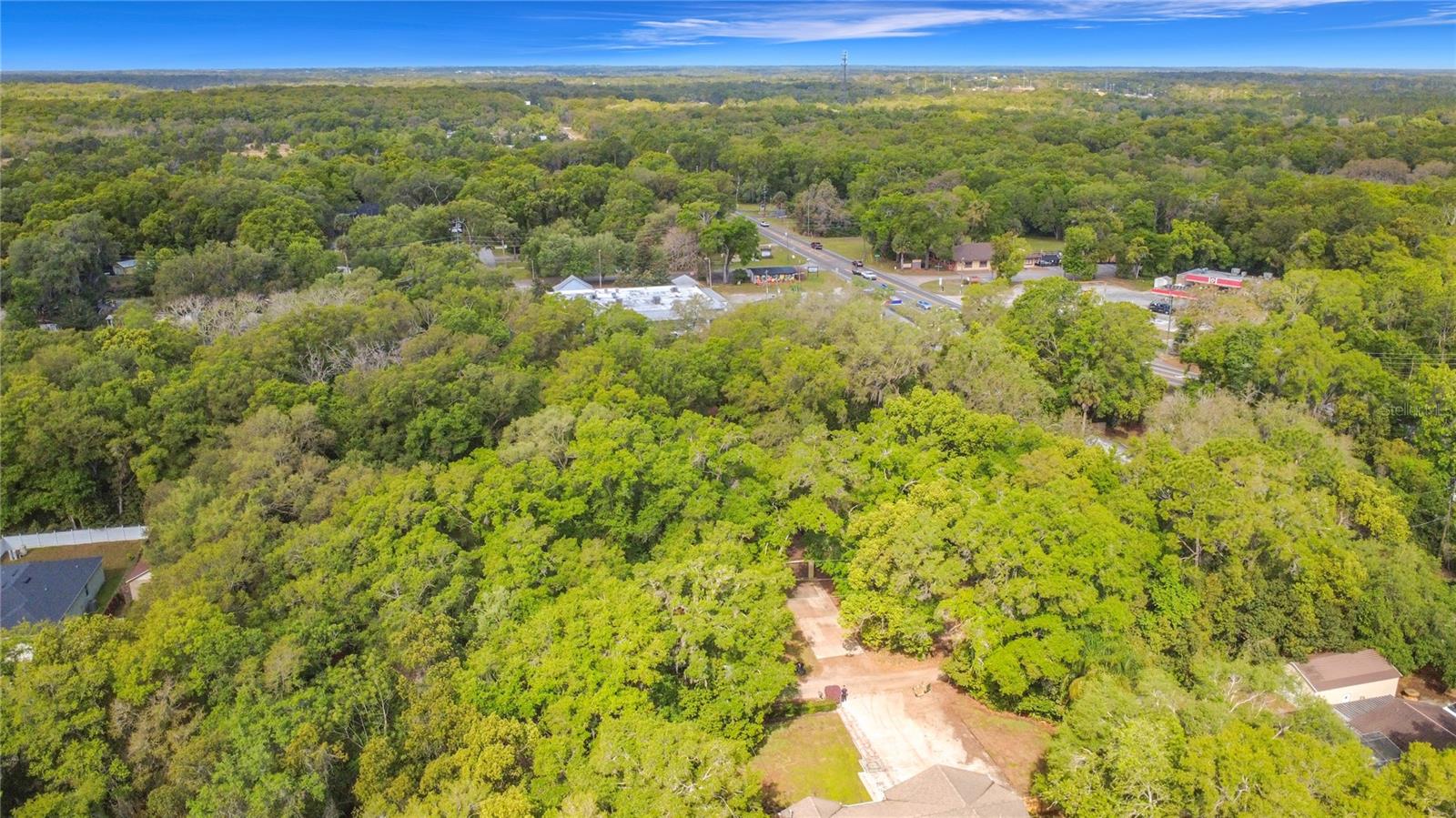 31427 GHENT AVE, MOUNT PLYMOUTH, FL, 32776