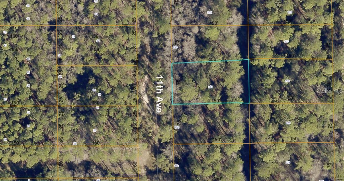 lot 257 11TH AVE, DELAND, FL, 32724