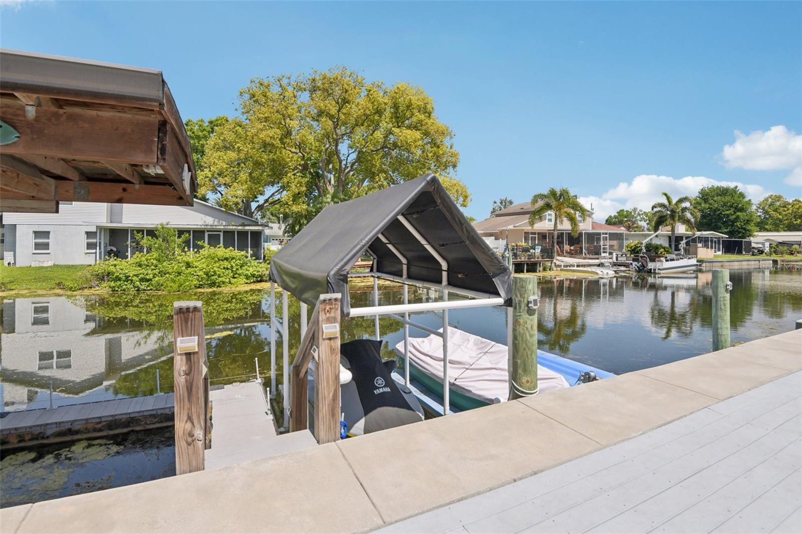 36 CITRUS DR, PALM HARBOR, FL, 34684