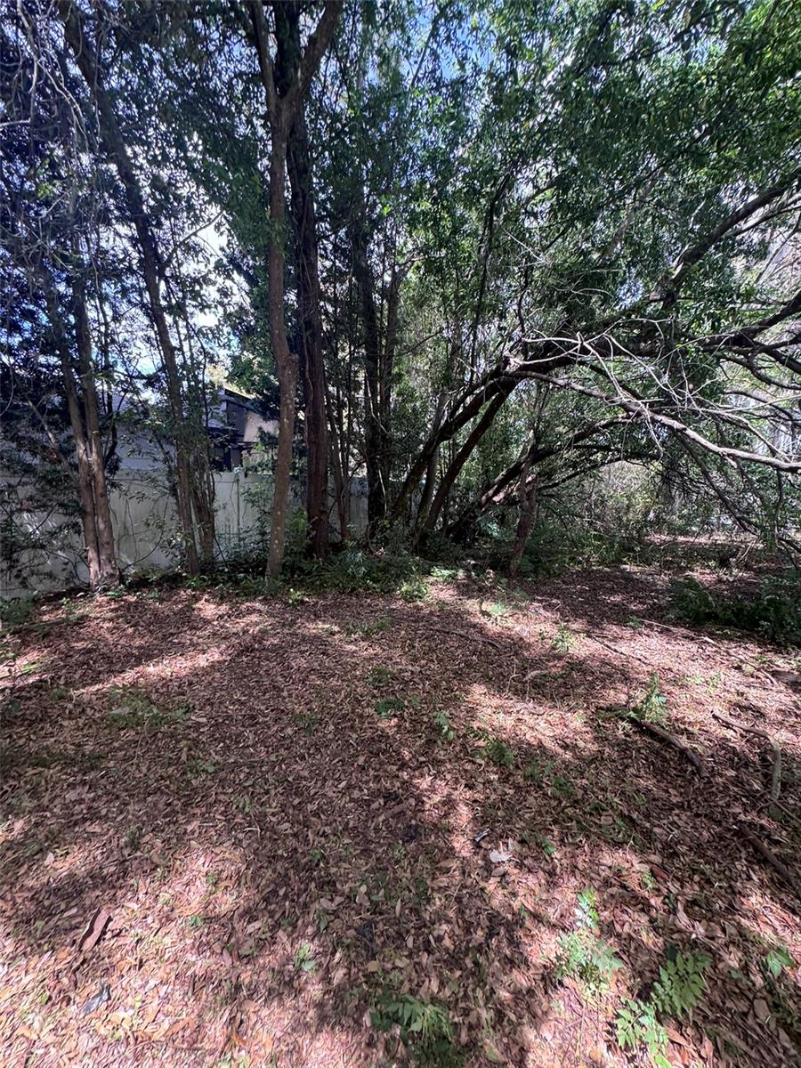 13147 SUBURBAN TER, WINTER GARDEN, FL, 34787