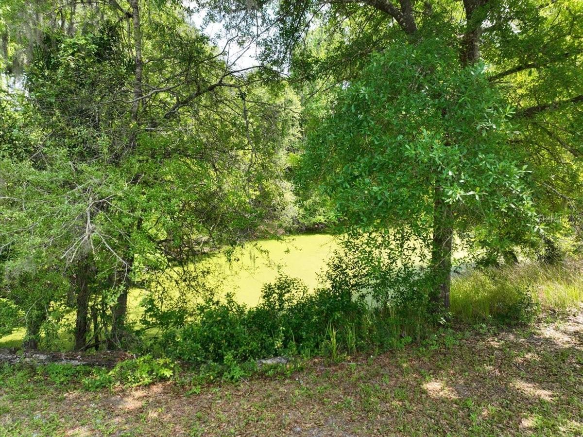1415 N WABASH AVE, LAKELAND, FL, 33805