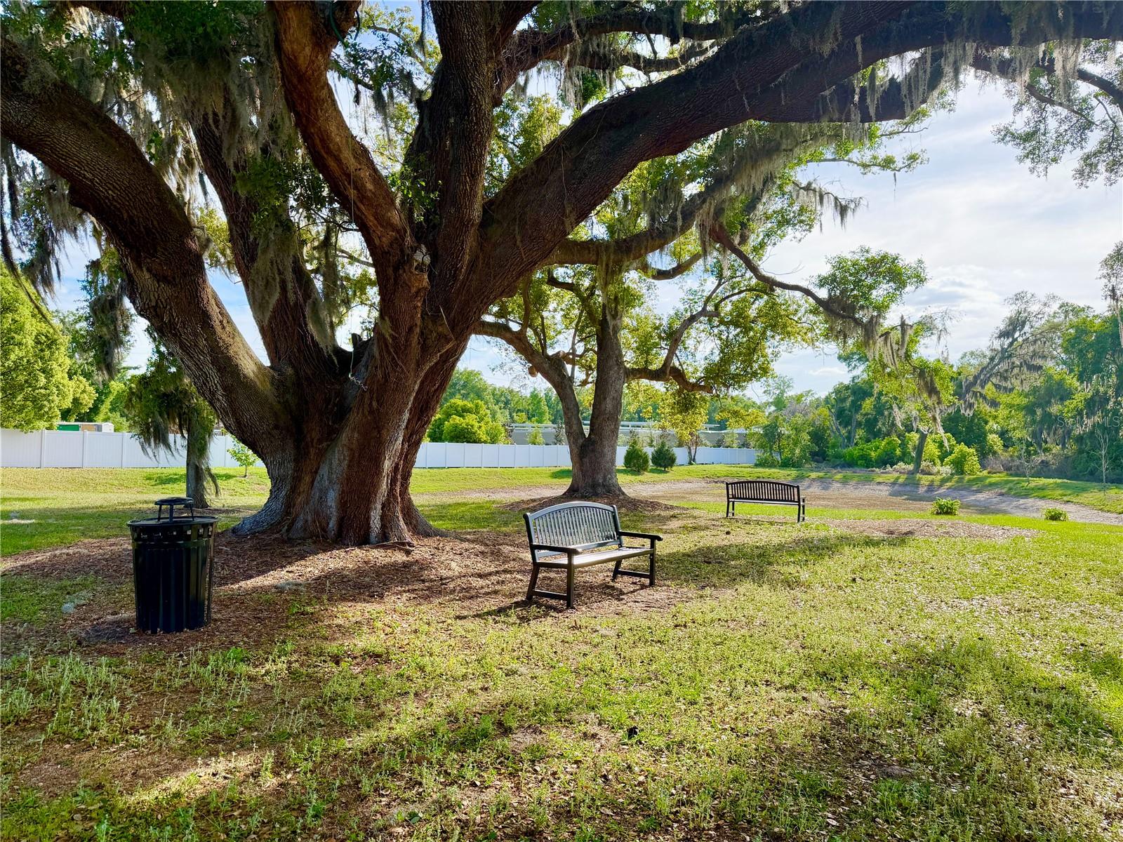 9714 OAK RANCH CRESCENT CT, THONOTOSASSA, FL, 33592