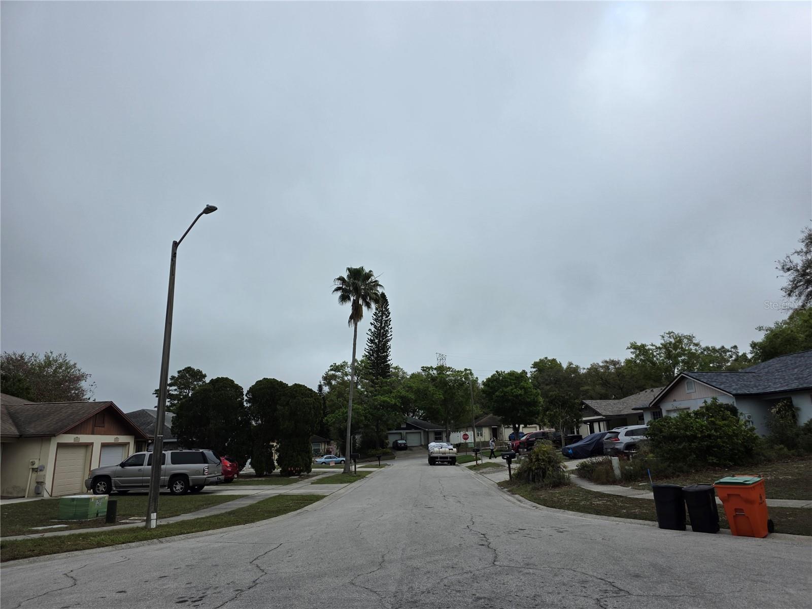 2674 MACKLIN CT, PALM HARBOR, FL, 34684