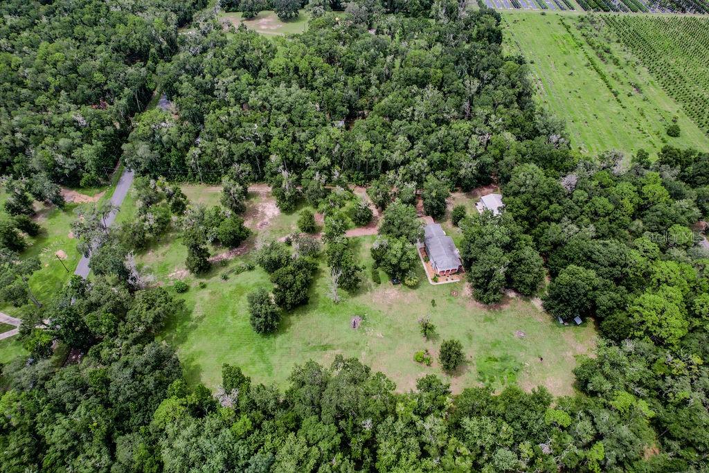13003 S BETTY PT, FLORAL CITY, FL, 34436