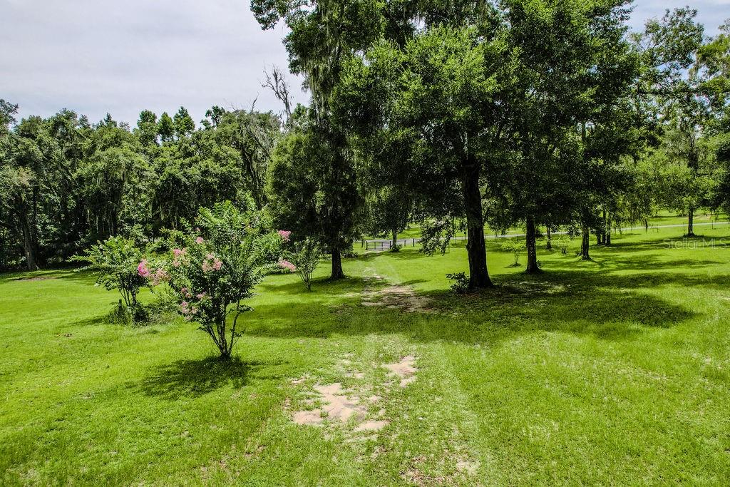 13003 S BETTY PT, FLORAL CITY, FL, 34436