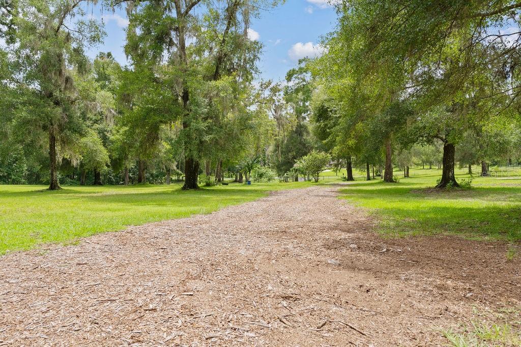 13003 S BETTY PT, FLORAL CITY, FL, 34436