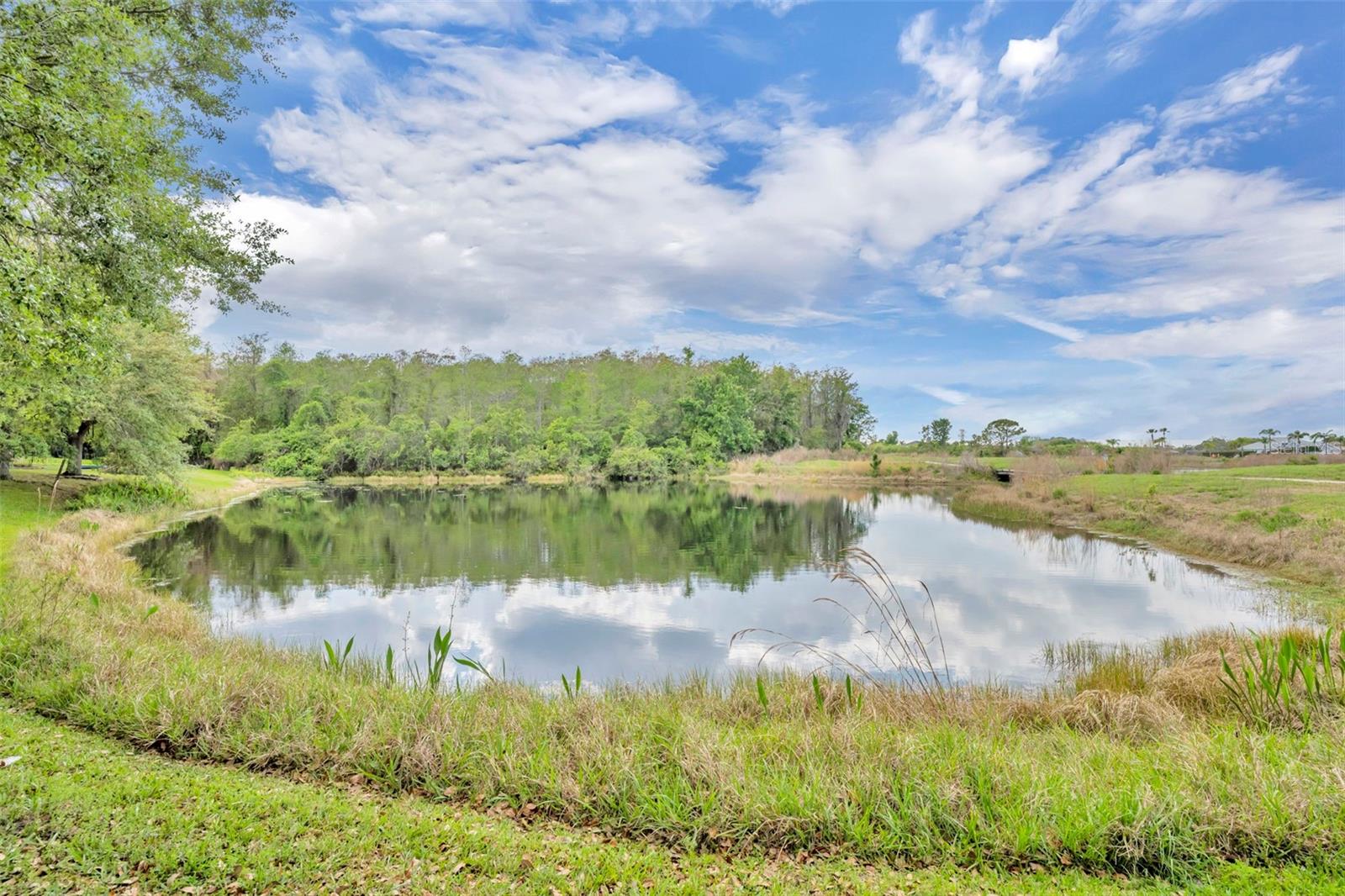 1656 ANNA CATHERINE DR, ORLANDO, FL, 32828