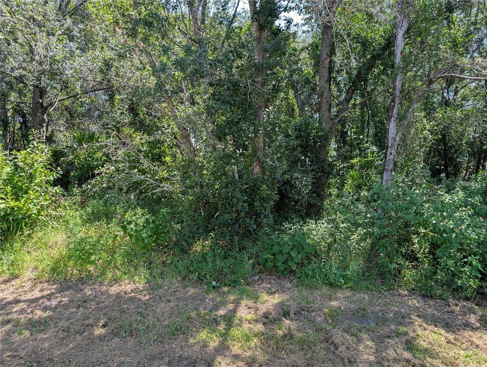 811 CARDINAL WAY, POINCIANA, FL, 34759
