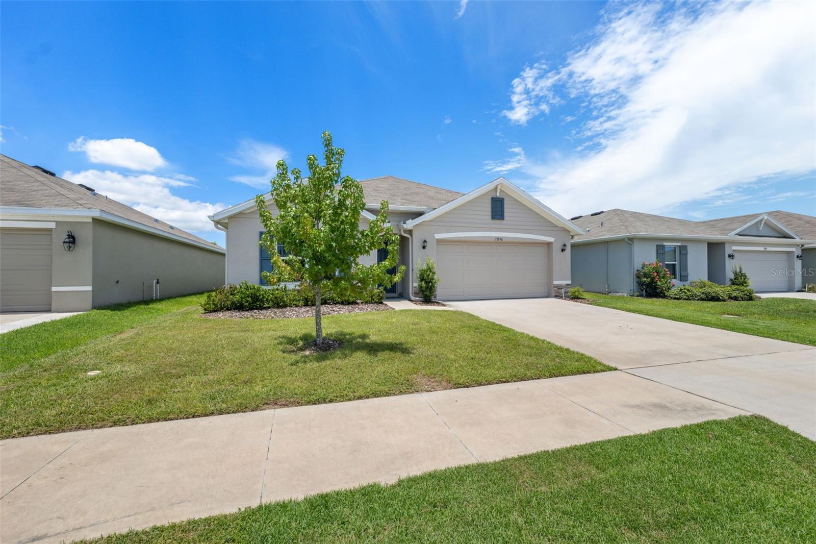 13196 GOLDEN LIME AVE, SPRING HILL, FL, 34609