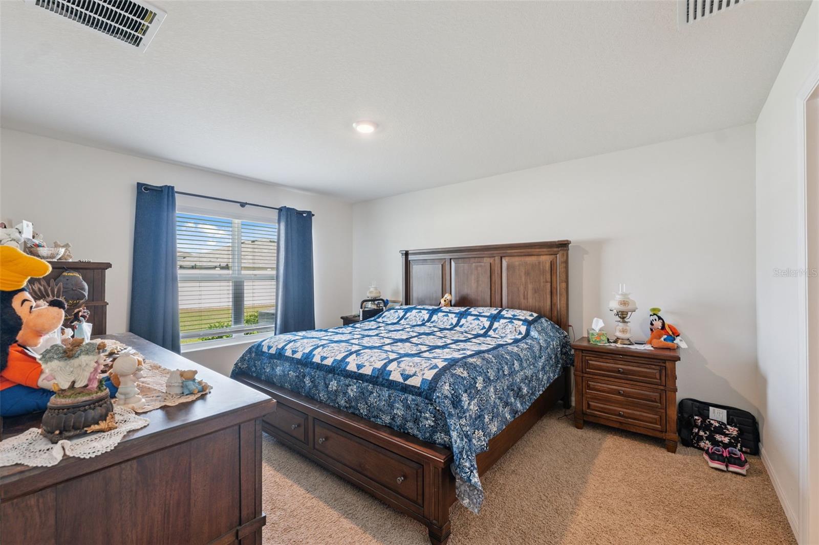 13196 GOLDEN LIME AVE, SPRING HILL, FL, 34609
