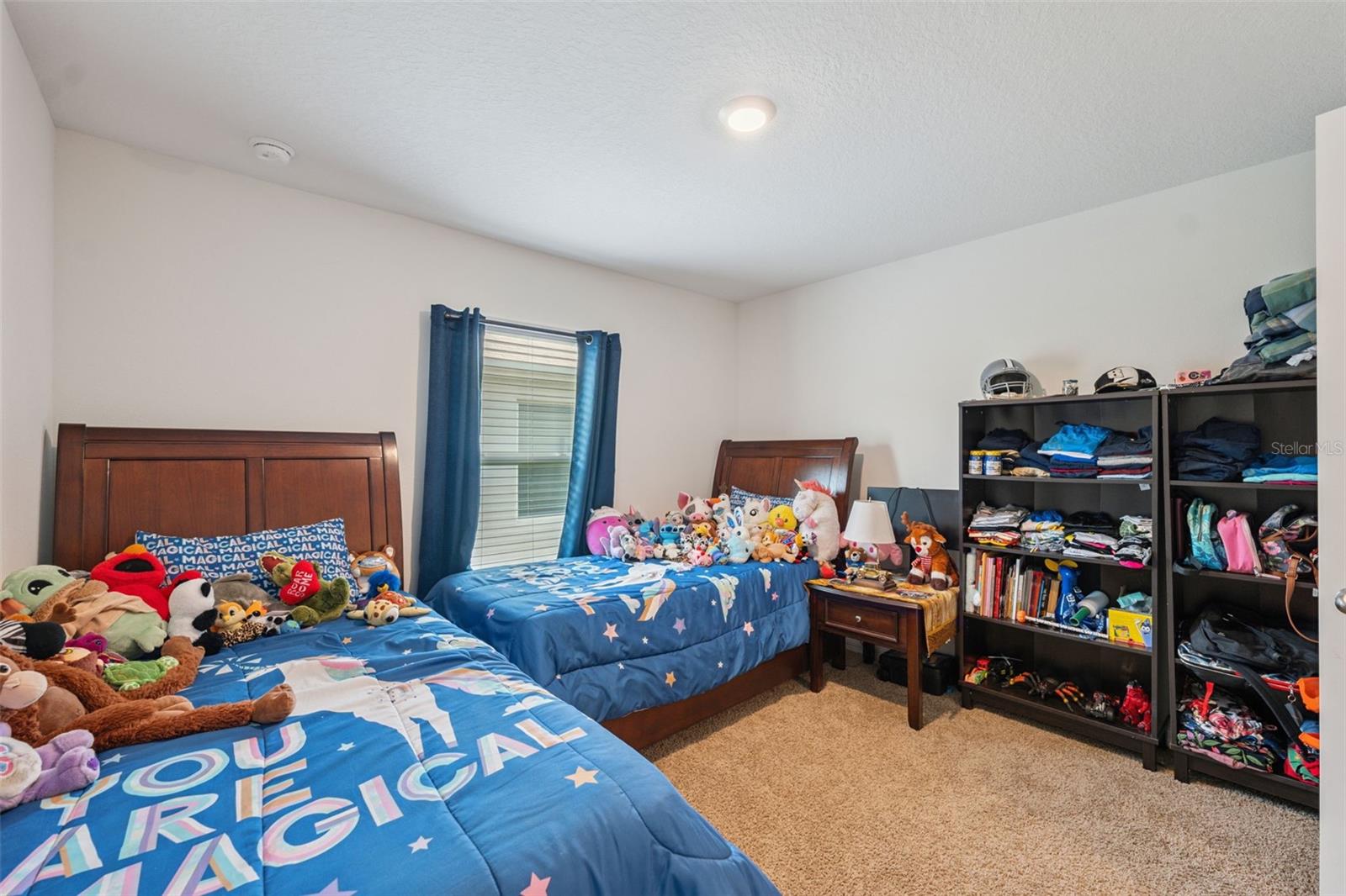 13196 GOLDEN LIME AVE, SPRING HILL, FL, 34609