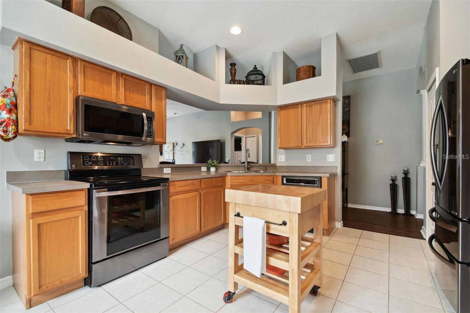 7655 CITRUS BLOSSOM DR, LAND O LAKES, FL, 34637