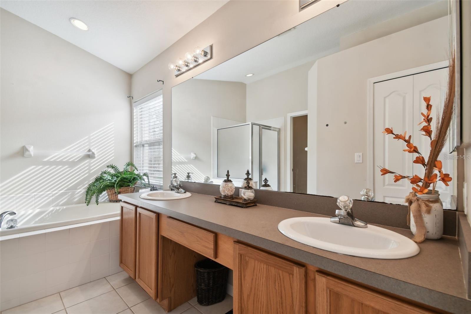 7655 CITRUS BLOSSOM DR, LAND O LAKES, FL, 34637