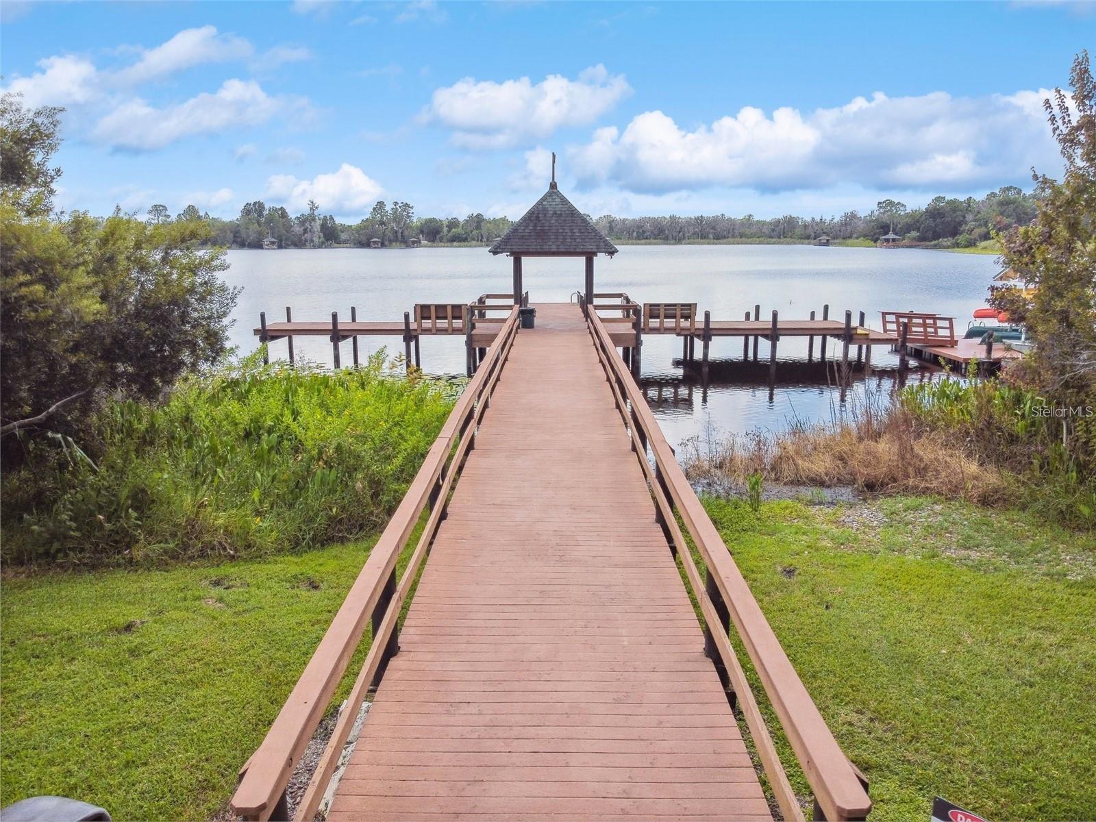 7655 CITRUS BLOSSOM DR, LAND O LAKES, FL, 34637