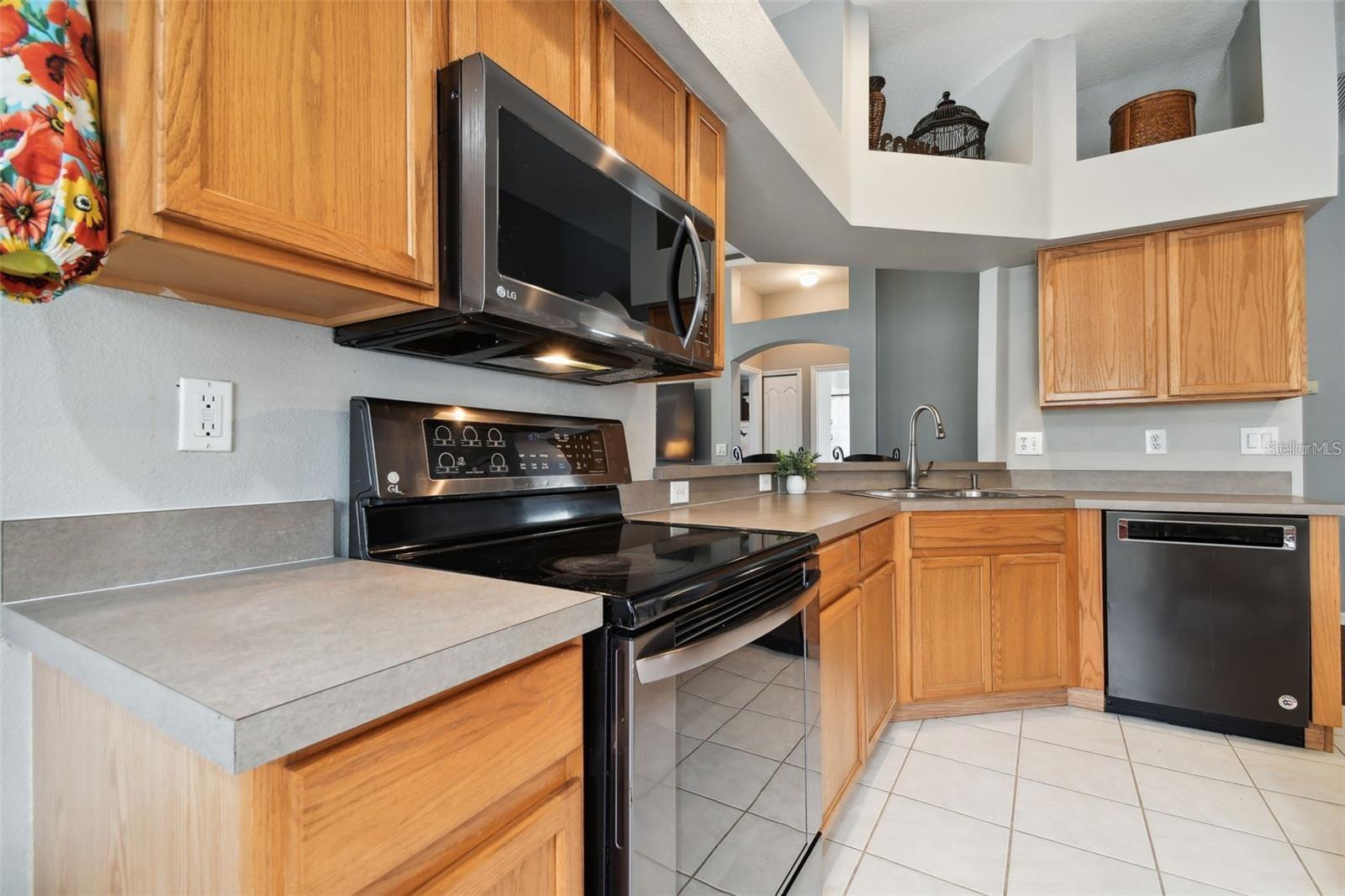 7655 CITRUS BLOSSOM DR, LAND O LAKES, FL, 34637