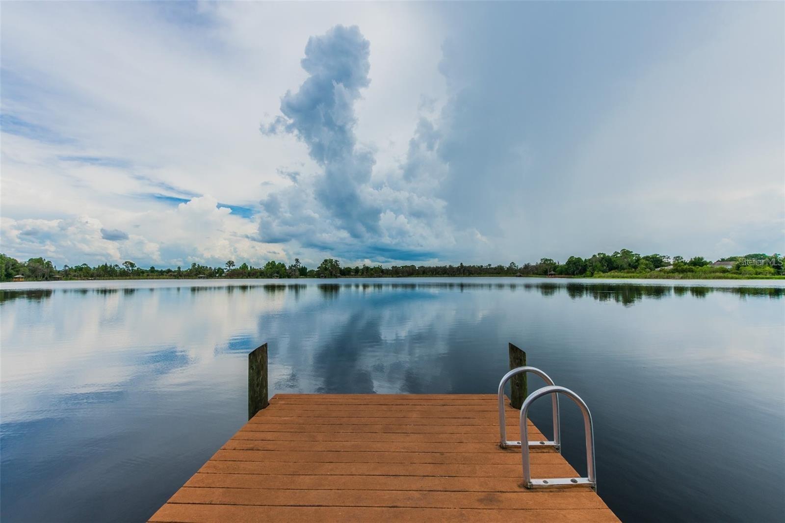 7655 CITRUS BLOSSOM DR, LAND O LAKES, FL, 34637