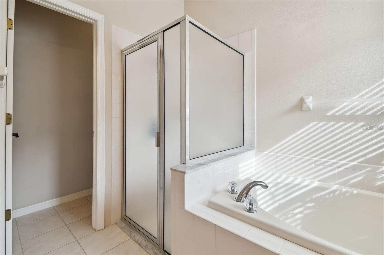 7655 CITRUS BLOSSOM DR, LAND O LAKES, FL, 34637