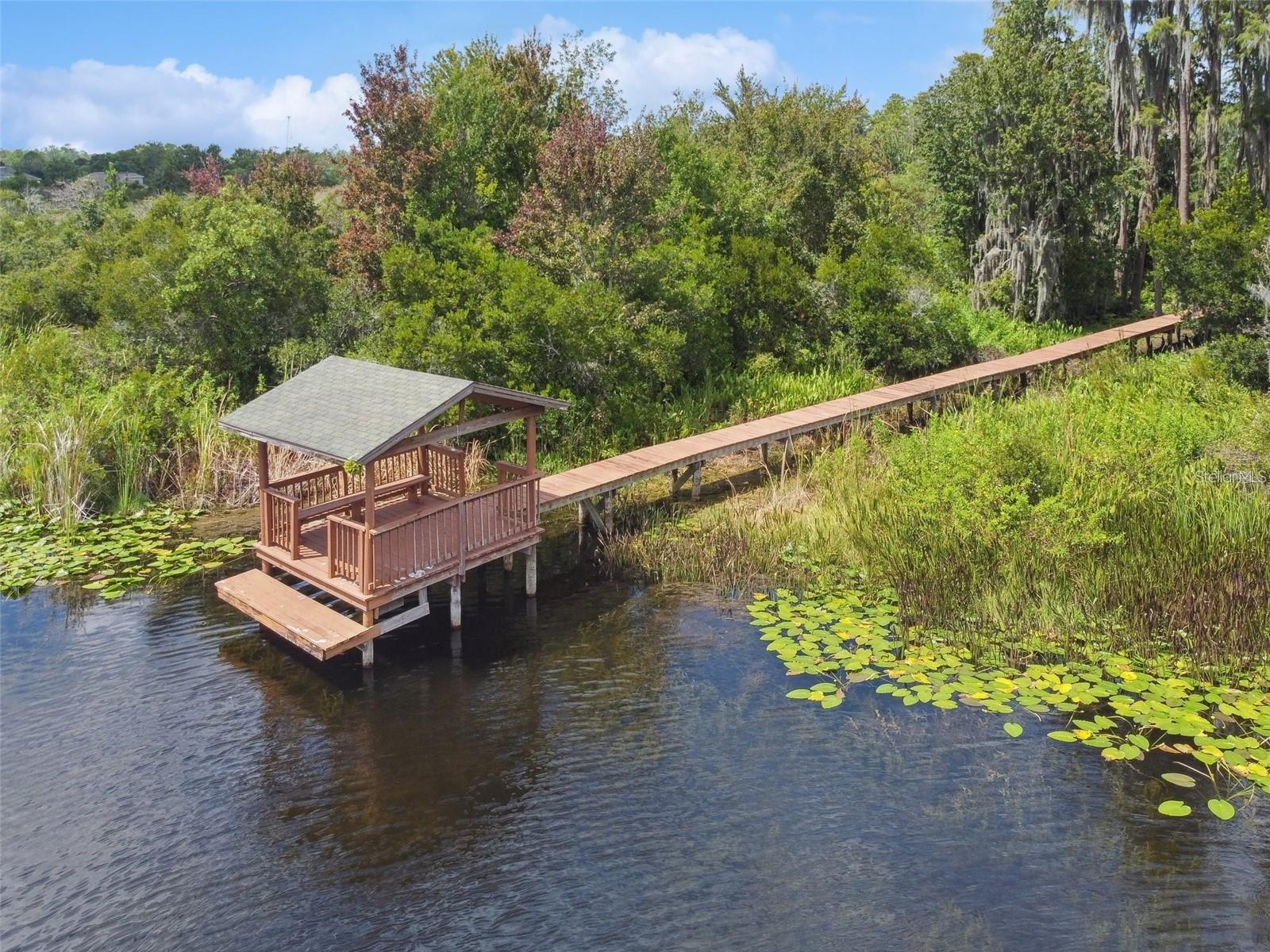 7655 CITRUS BLOSSOM DR, LAND O LAKES, FL, 34637