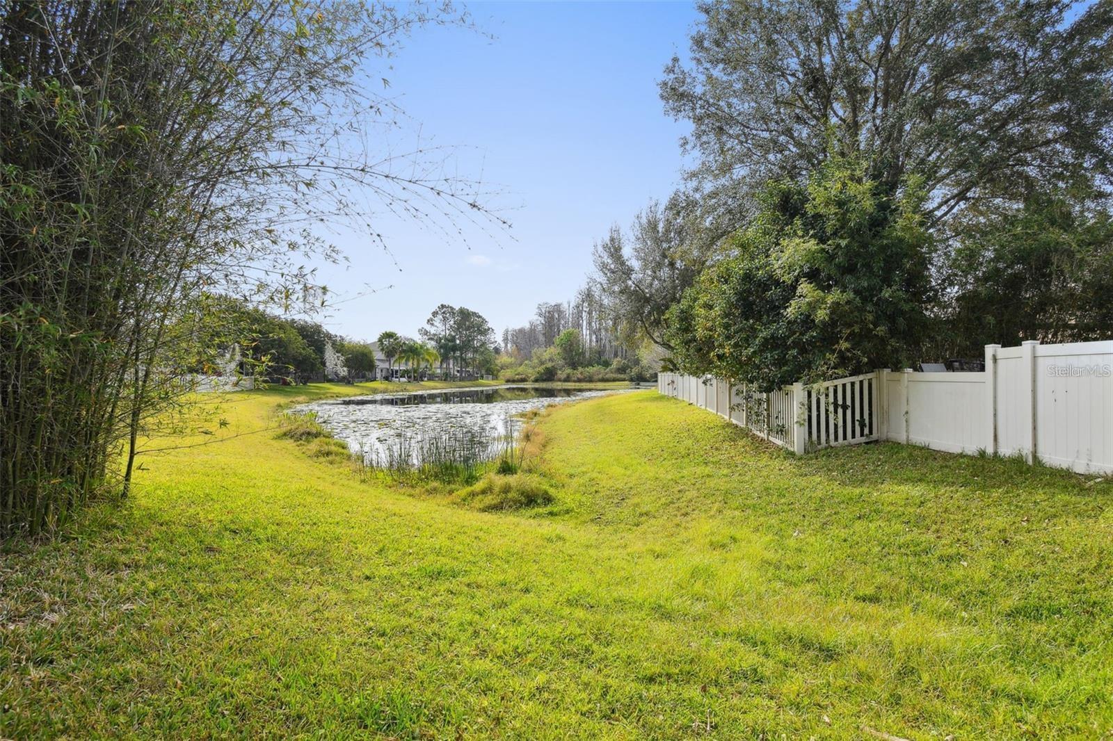 7655 CITRUS BLOSSOM DR, LAND O LAKES, FL, 34637