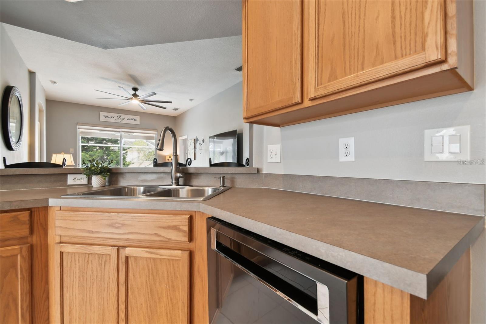 7655 CITRUS BLOSSOM DR, LAND O LAKES, FL, 34637
