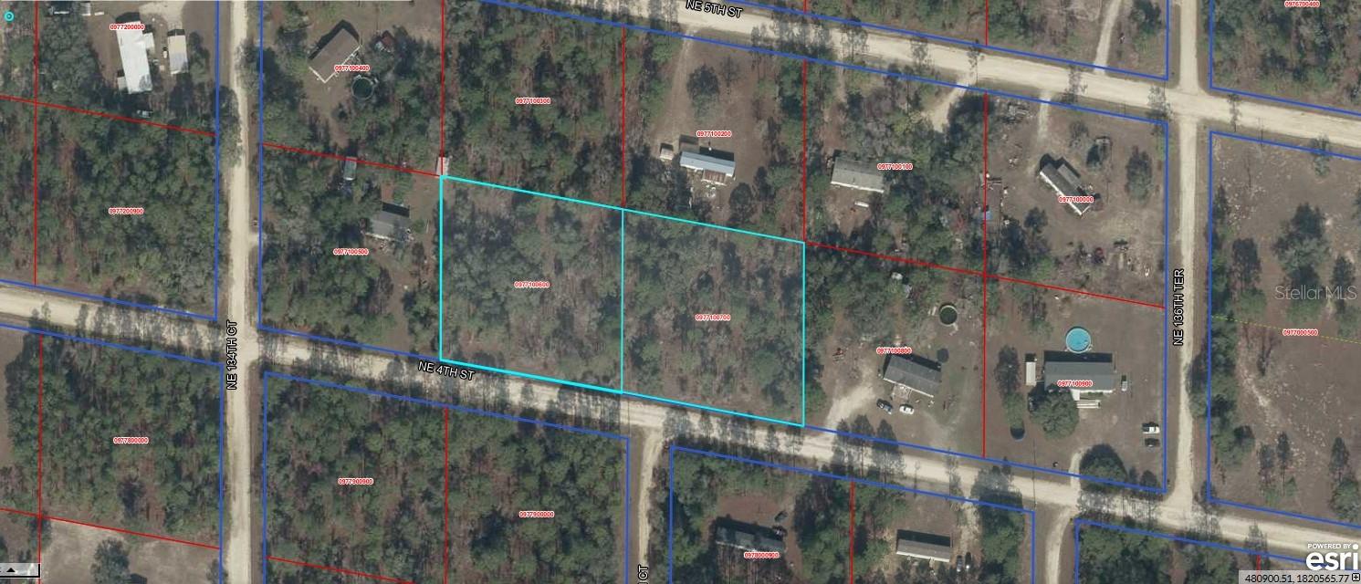 9771-006-00 & 9771-007-00 NE 4TH ST, WILLISTON, FL, 32696