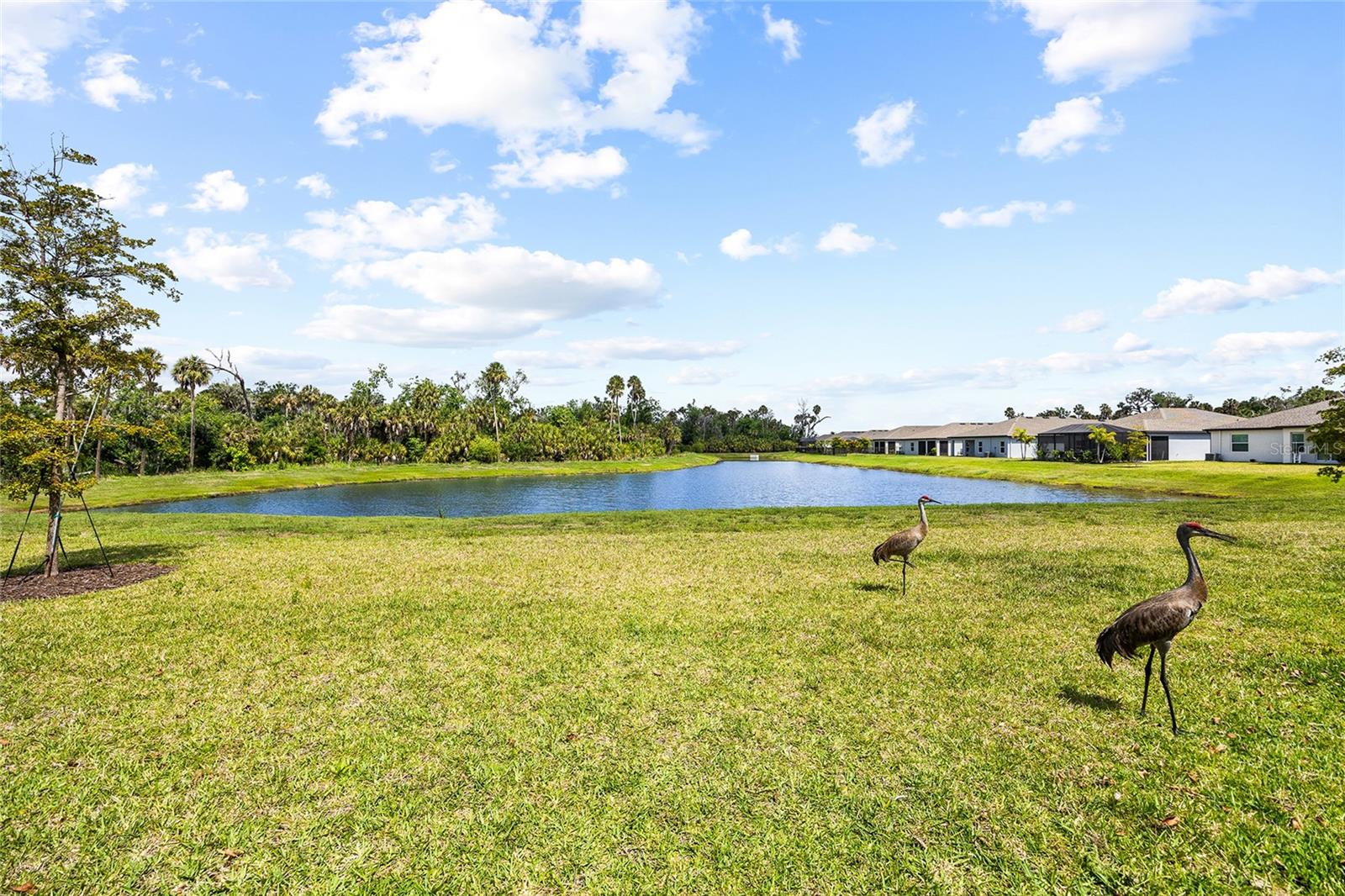 5504 TRIPOLI DR, PALMETTO, FL, 34221
