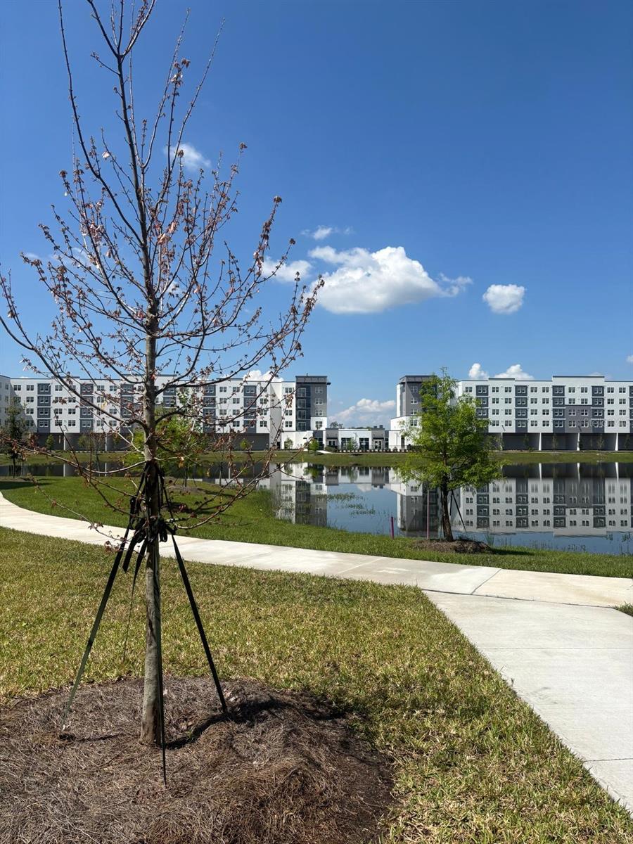 5587 MILLENIA PARK BULEVARD #508, ORLANDO, FL, 32839